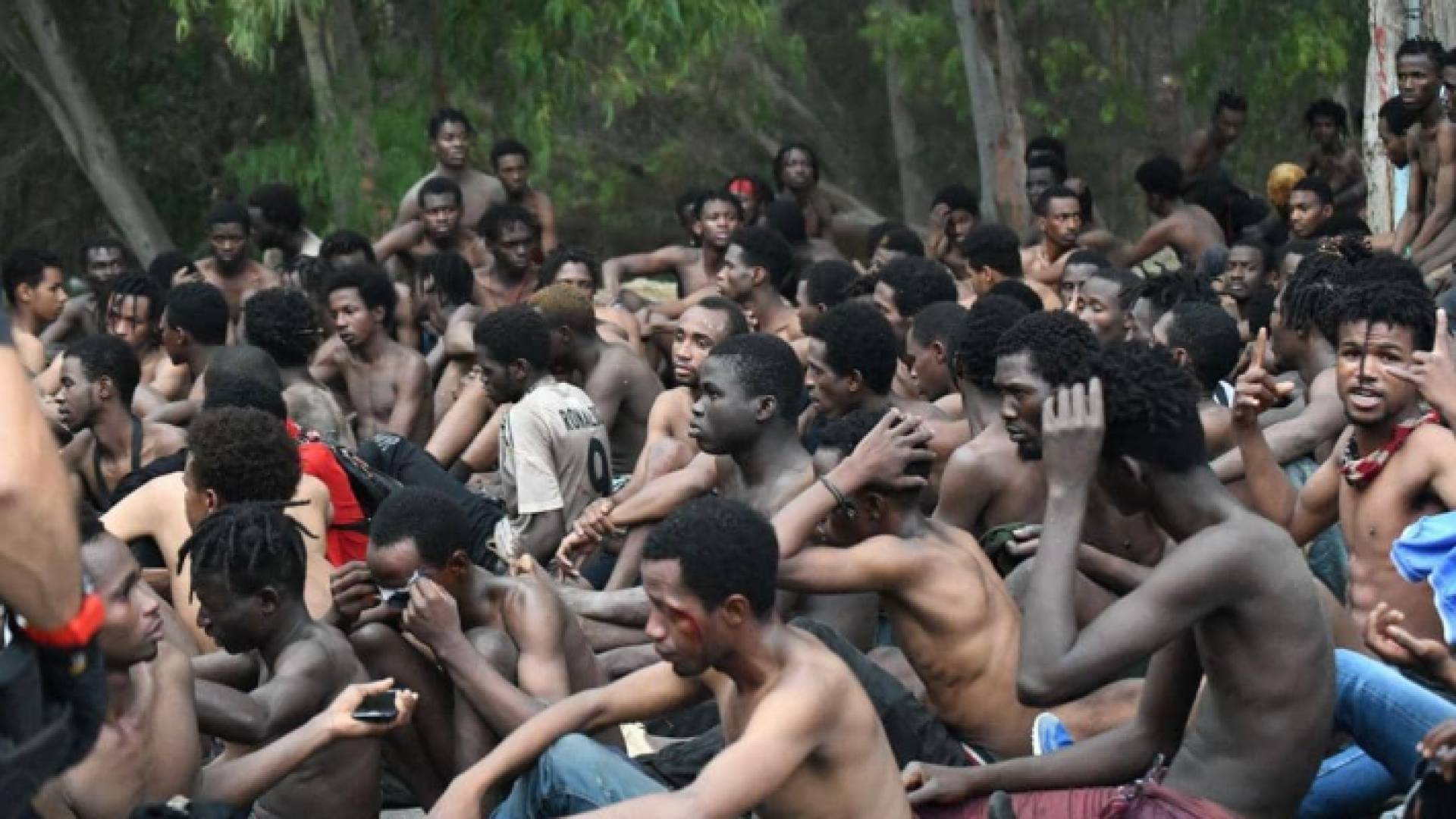 تعيد السلطات في مينسك المهاجرين إلى حدود الاتحاد الأوروبي