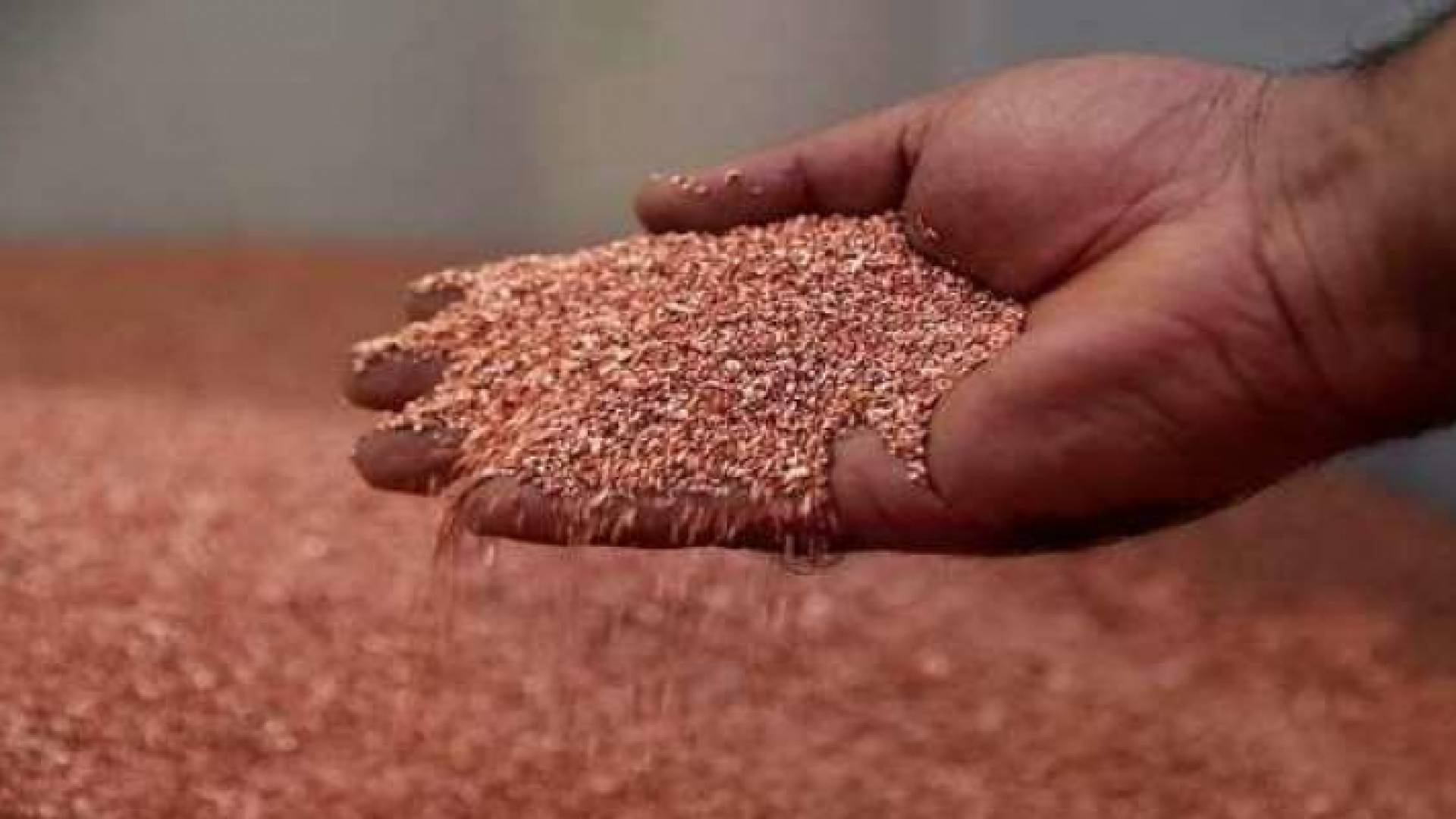 المتكاملة للتعدين تؤكد استعدادها لاستكمال مشروع التنقيب عن النحاس