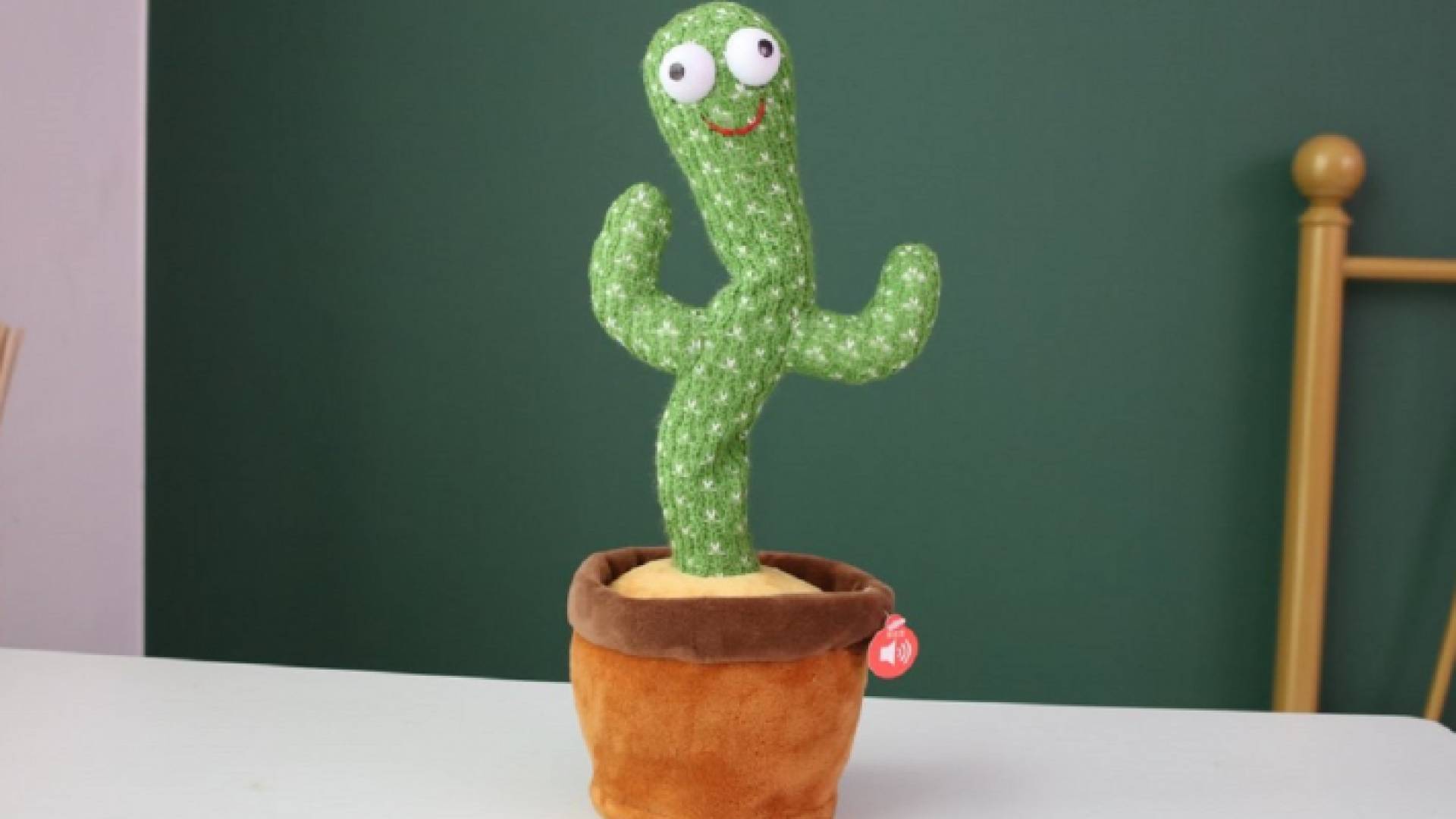 الصبارة الراقصة - تعبيرية