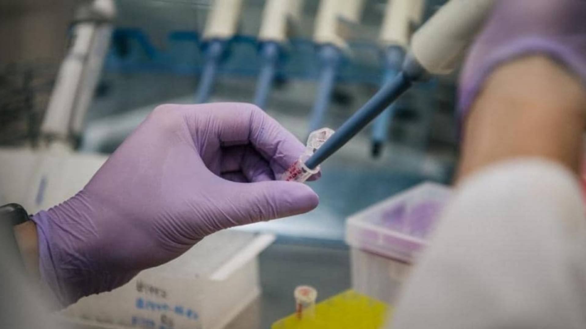 مختبر لفحص عينات كورونا - تعبيرية