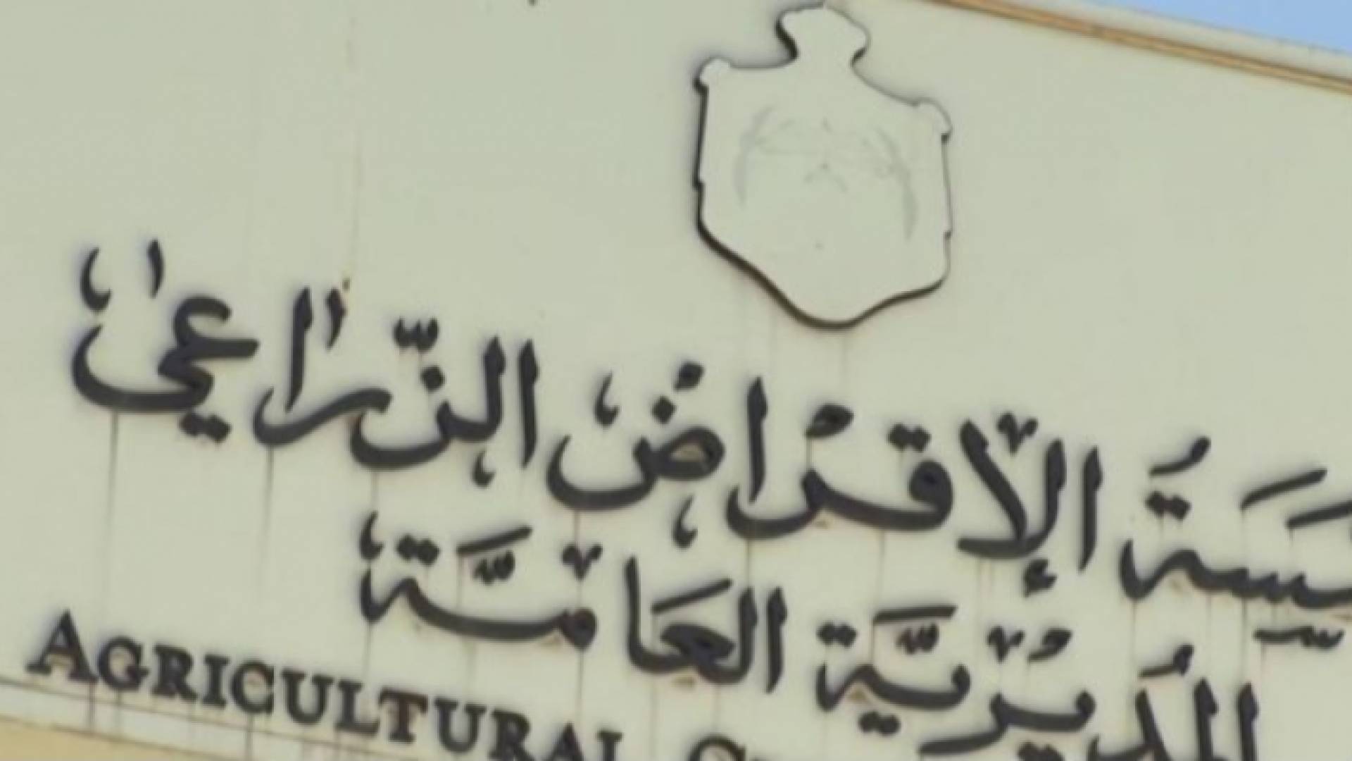 مؤسسة الإقراض الزراعي