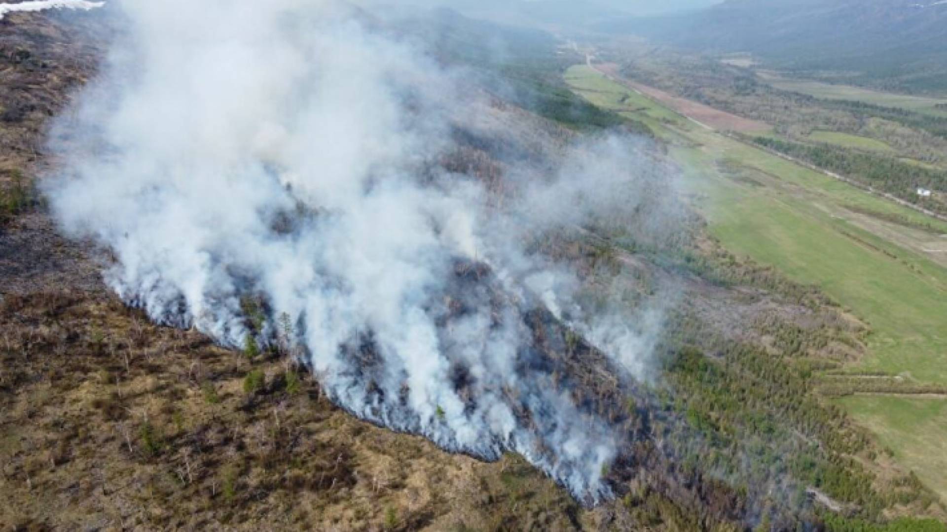 تحاول السلطات إخماد 15 حريقا في منطقة الأورال في سفردلوفسك