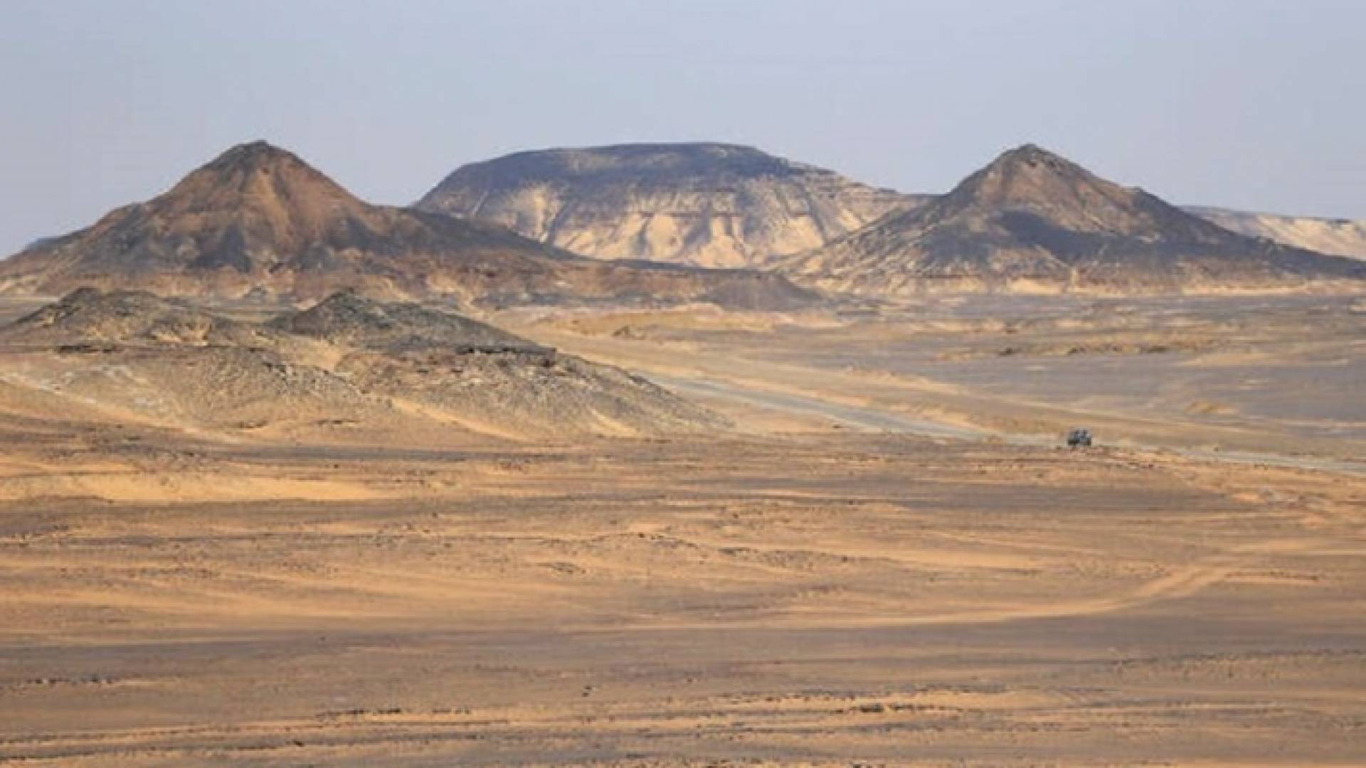 مصر تعلن امتلاكها "ثروة سوداء" كبيرة