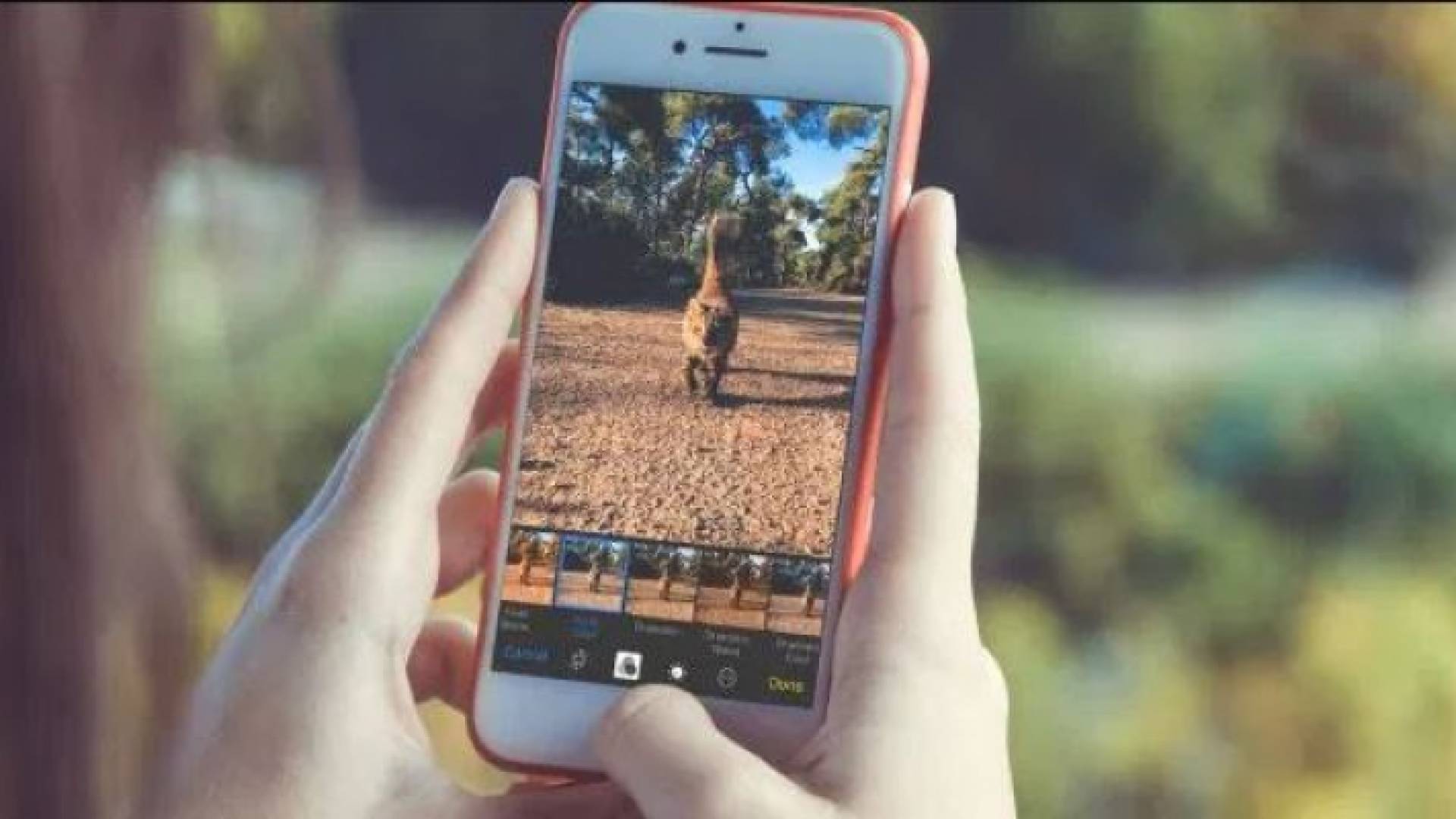 مختصون: فلترة الصور عبر مواقع التواصل محاولة لإخفاء النواقص