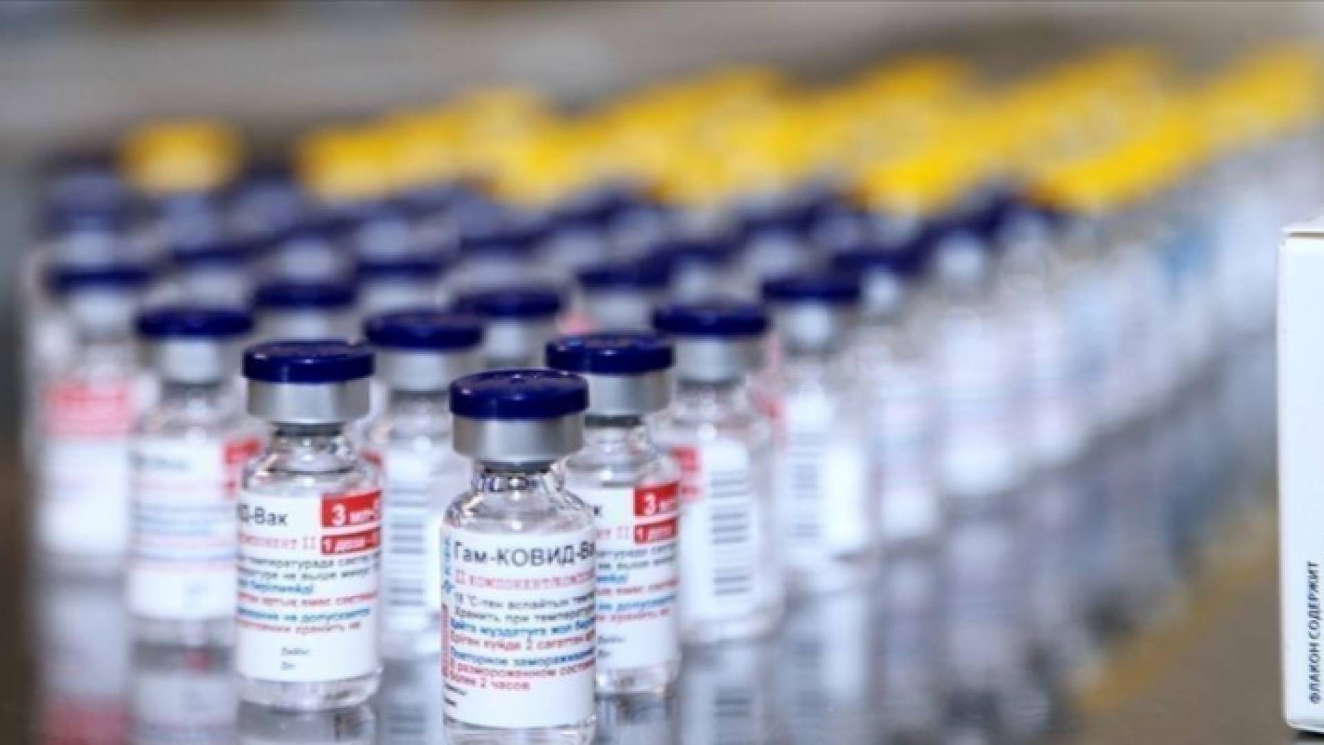 لقاحات كورونا - تعبيرية