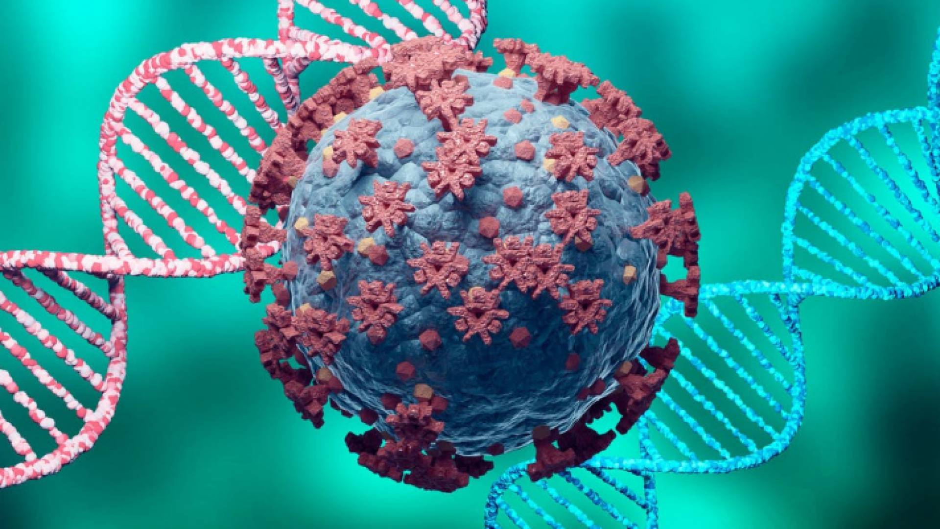 متحور كورونا - ارشيفية