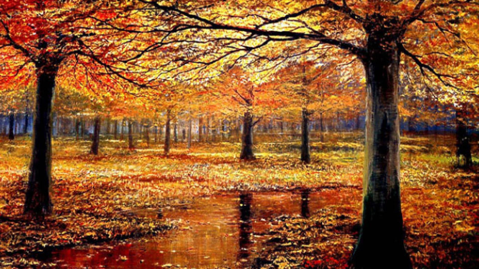 فصل التقلبات الجوية وعودة موسم الأمطار