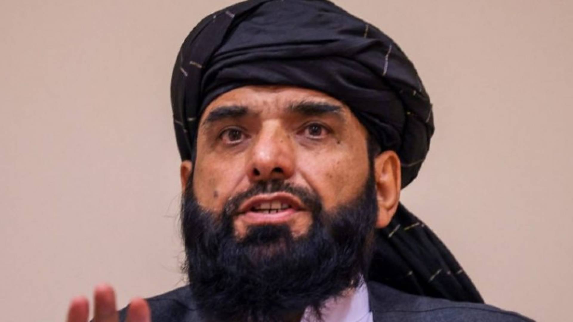 المتحدث باسم طالبان سهيل شاهين