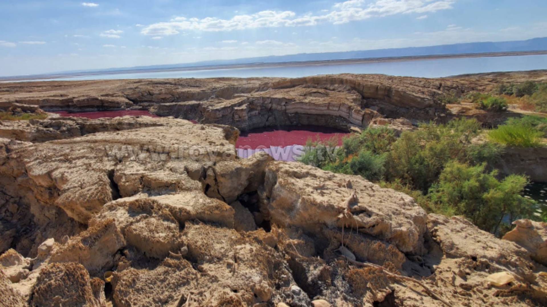 مياه البركة التي تحولت إلى اللون الأحمر