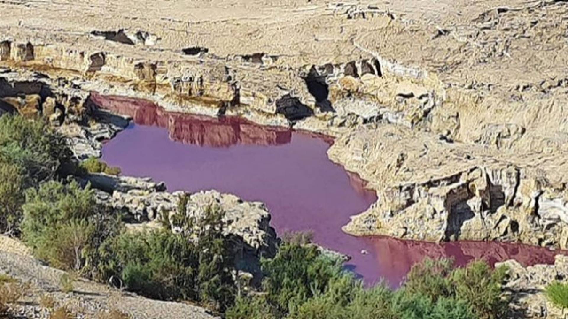 مياه البركة التي تحولت إلى اللون الأحمر