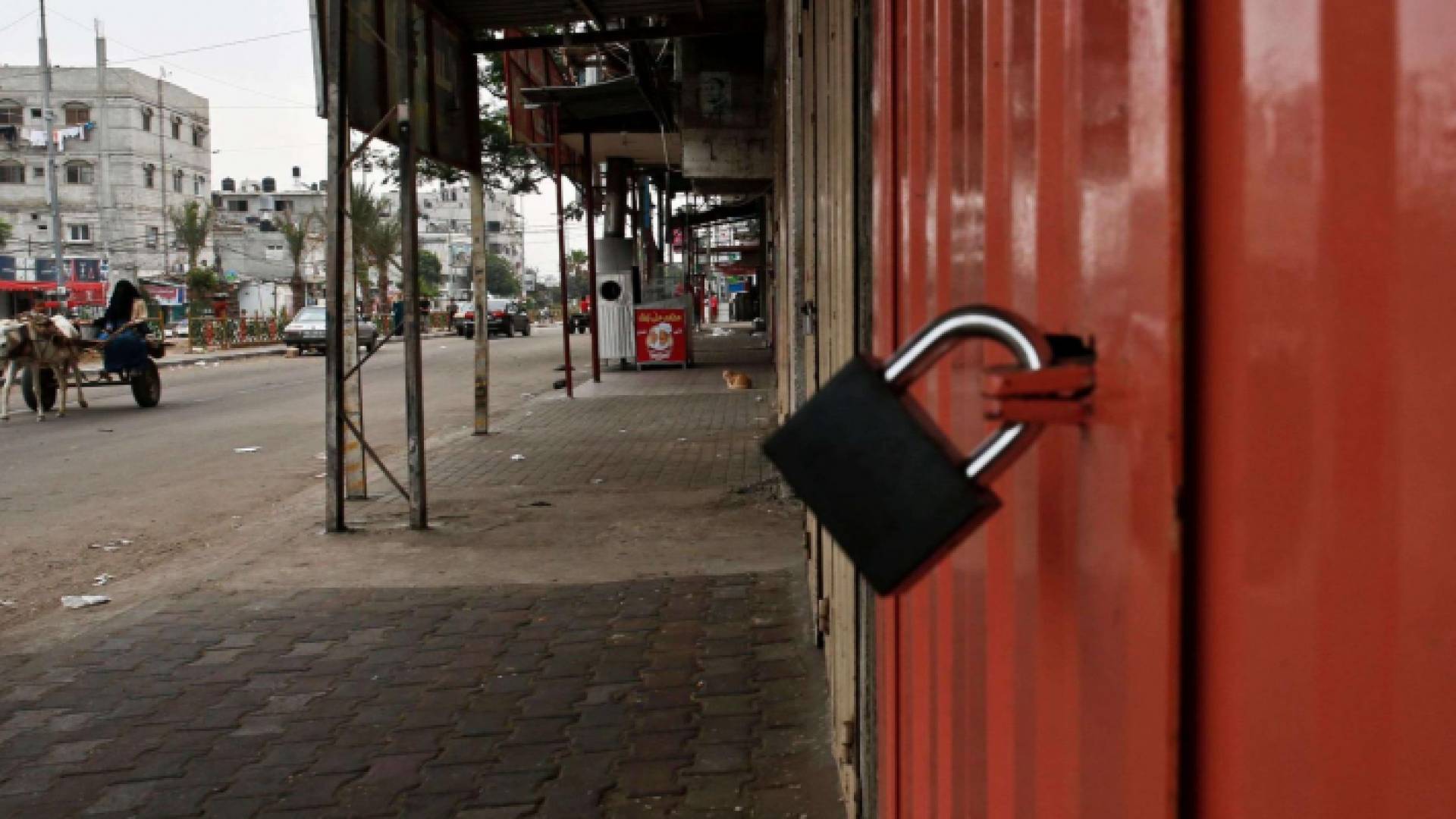 من الإضراب العام في فلسطين - أرشيفية