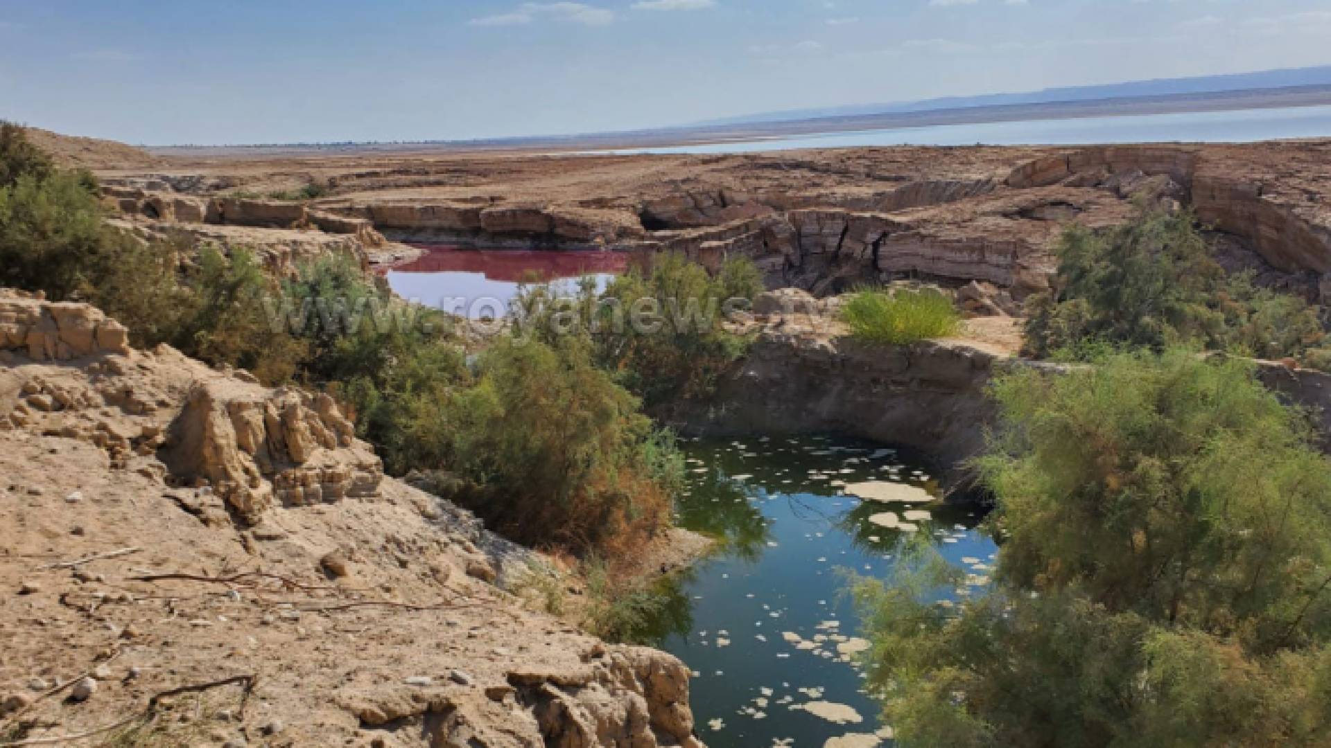 مياه البركة التي تحولت إلى اللون الأحمر