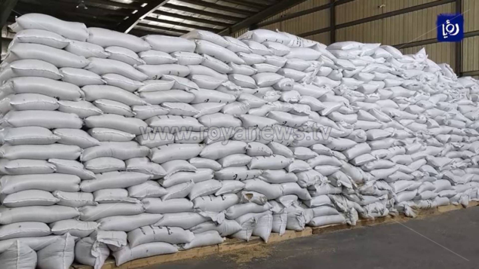 سوق سوداء للأعلاف مع انتشار الحيازات الوهمية للمواشي