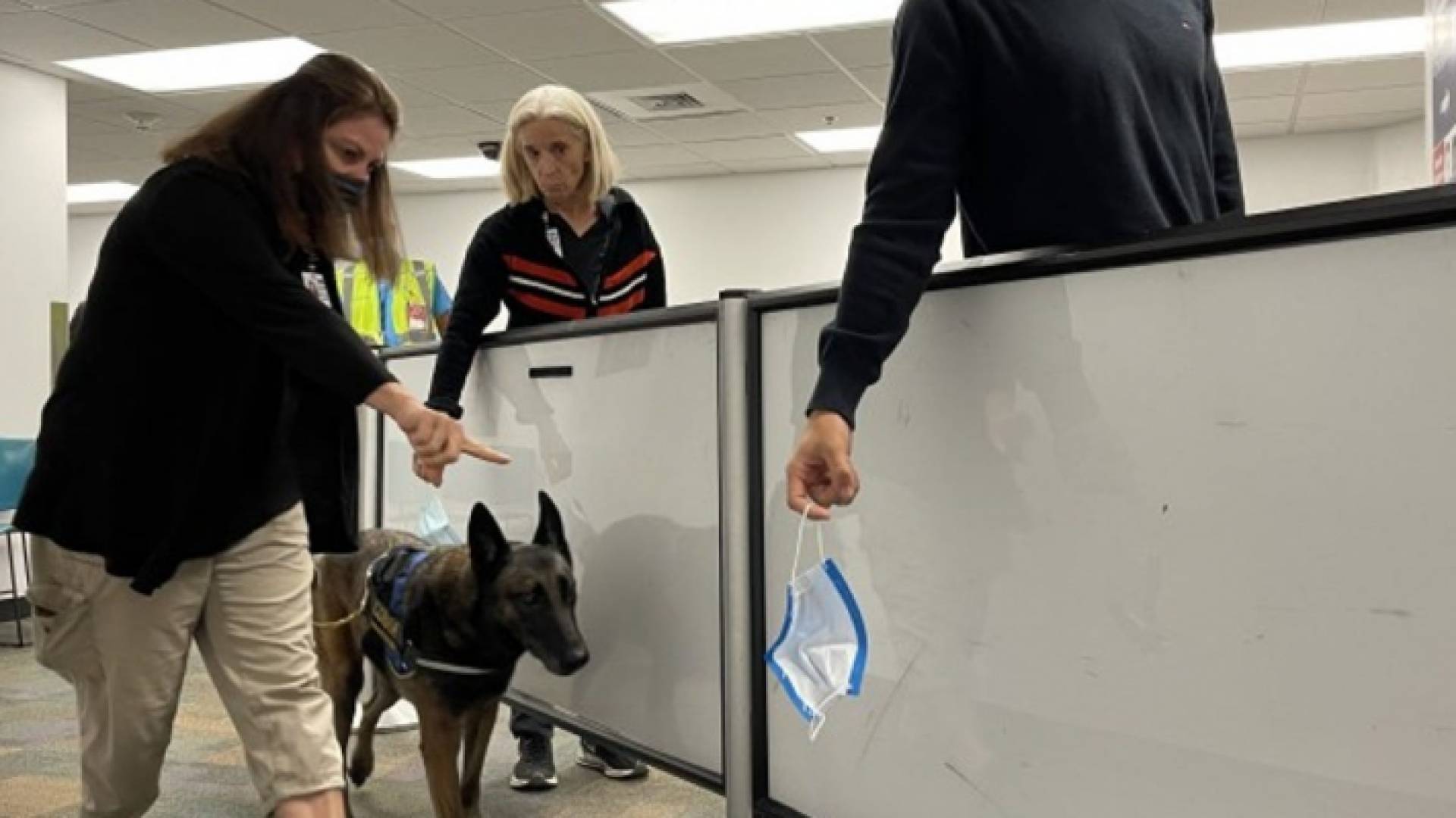 أحصت الولايات المتحدة وكندا معا 686,882 وفاة بكورونا