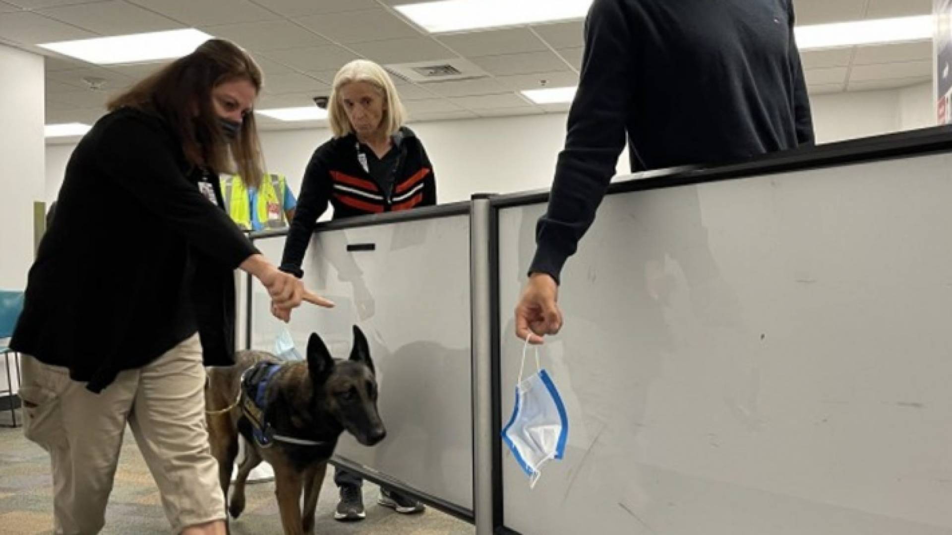 تأكدت إصابة 225,728,950 شخصا على الأقل بالفيروس منذ ظهوره