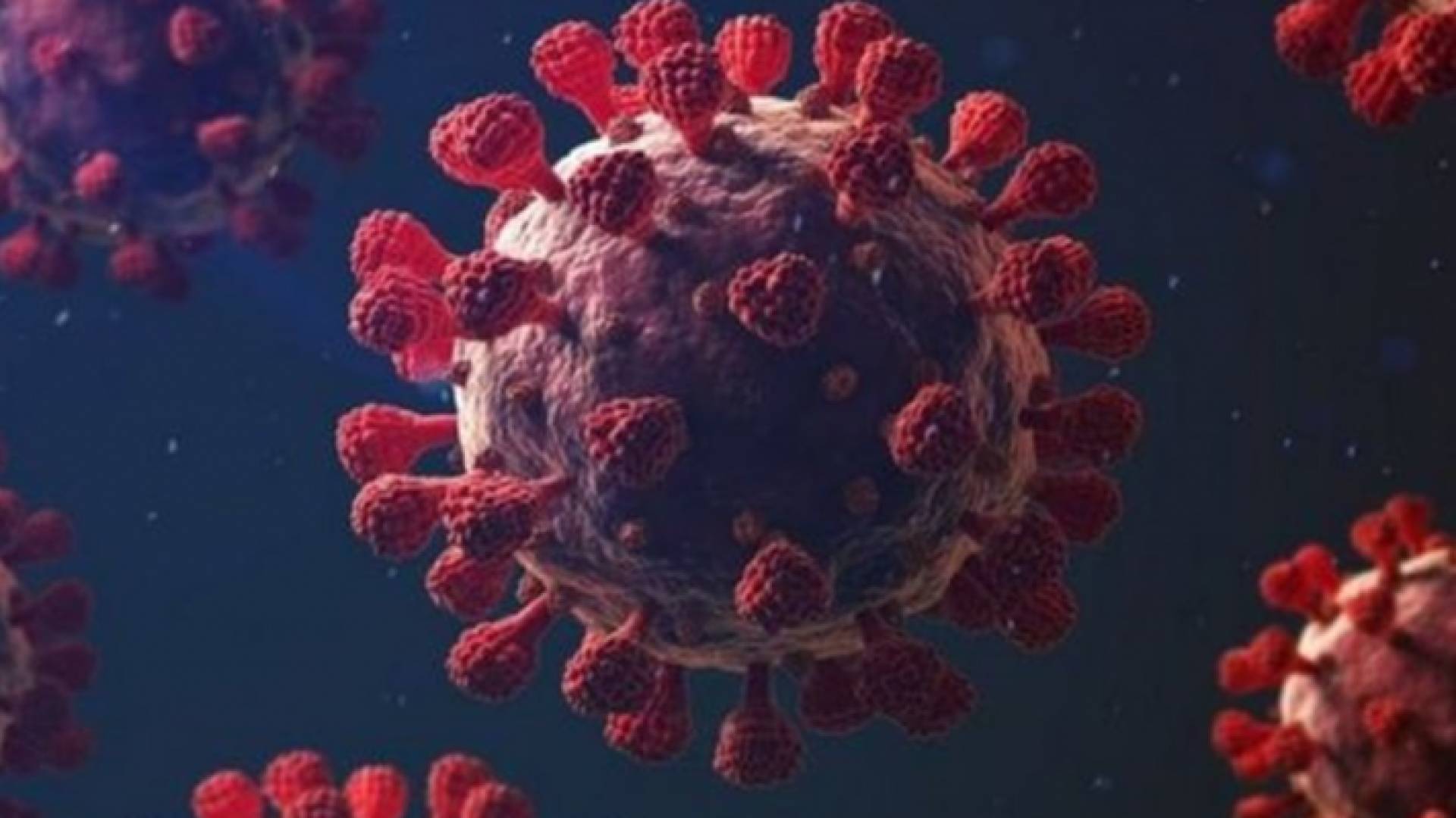 كورونا - تعبيرية