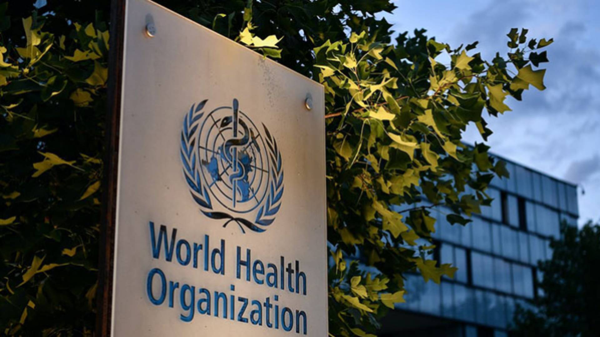 منظمة الصحة العالمية