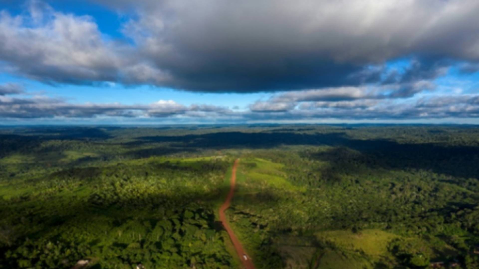 الصورة تعبيرية