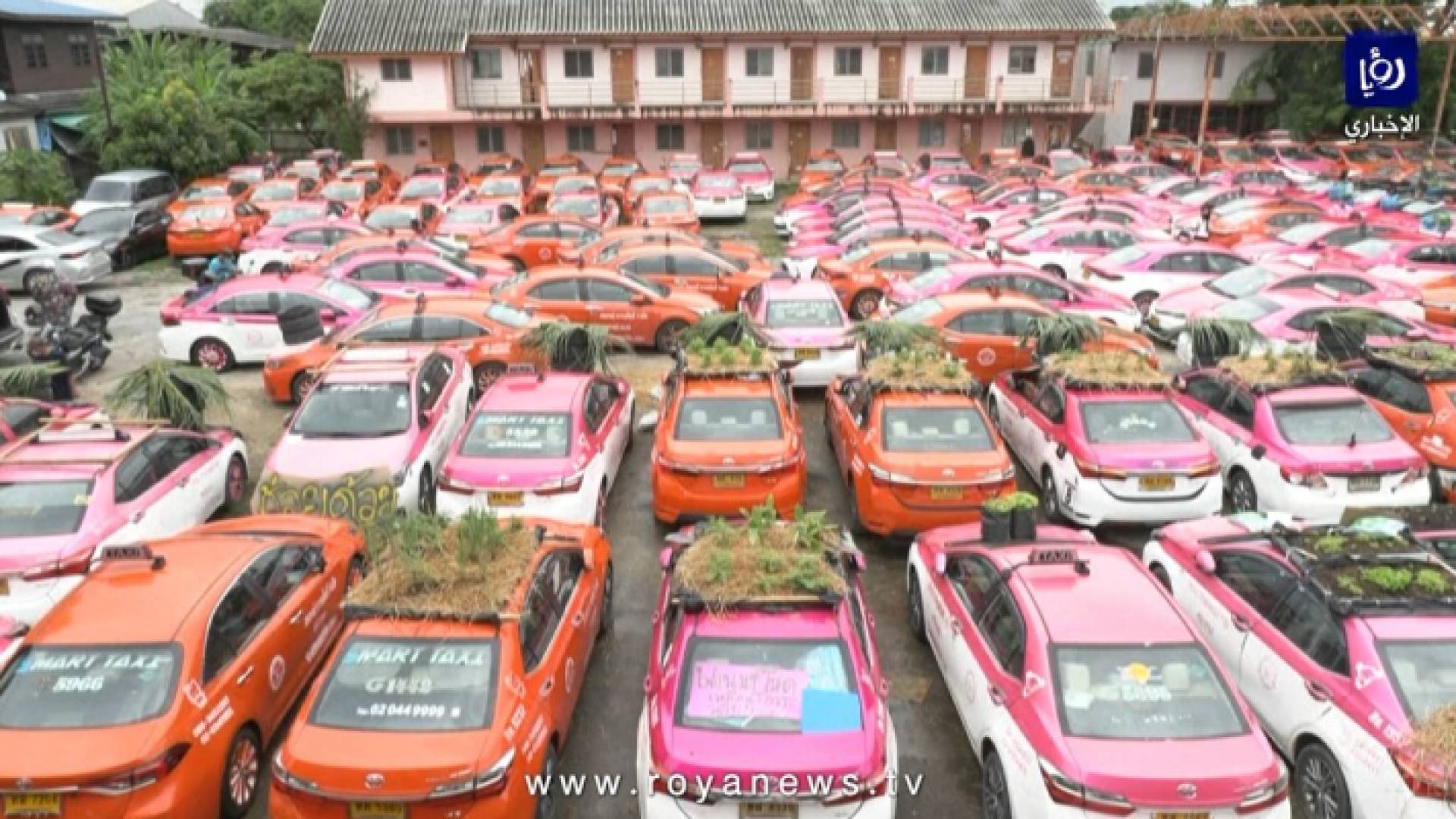 حدائق مصغرة على أسطح سيارات الأجرة غير المستخدمة في بانكوك