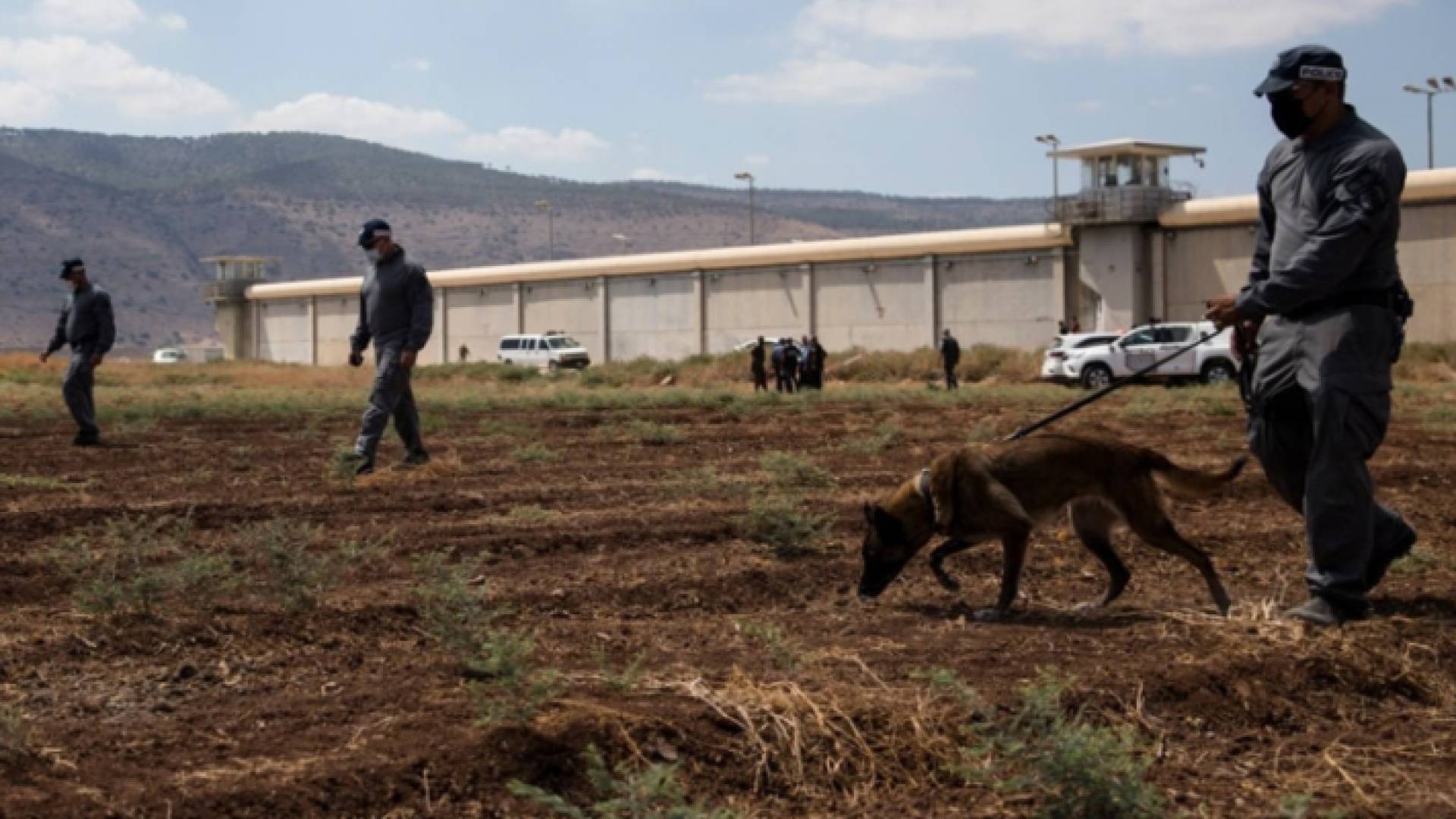 الصورة من عمليات البحث عن الأسرى الفارين