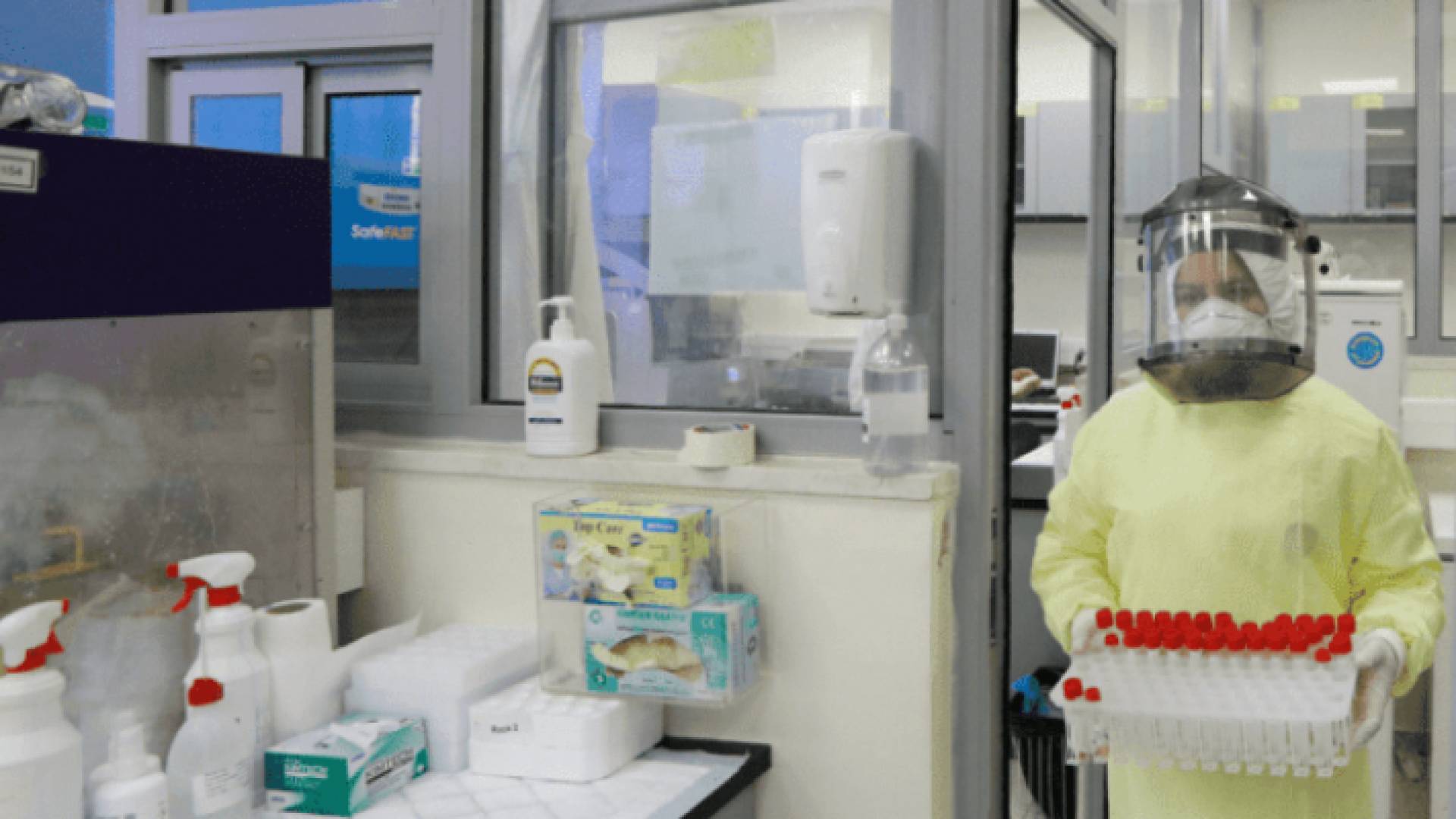 10 وفيات و1806 إصابات جديدة بكورونا في فلسطين