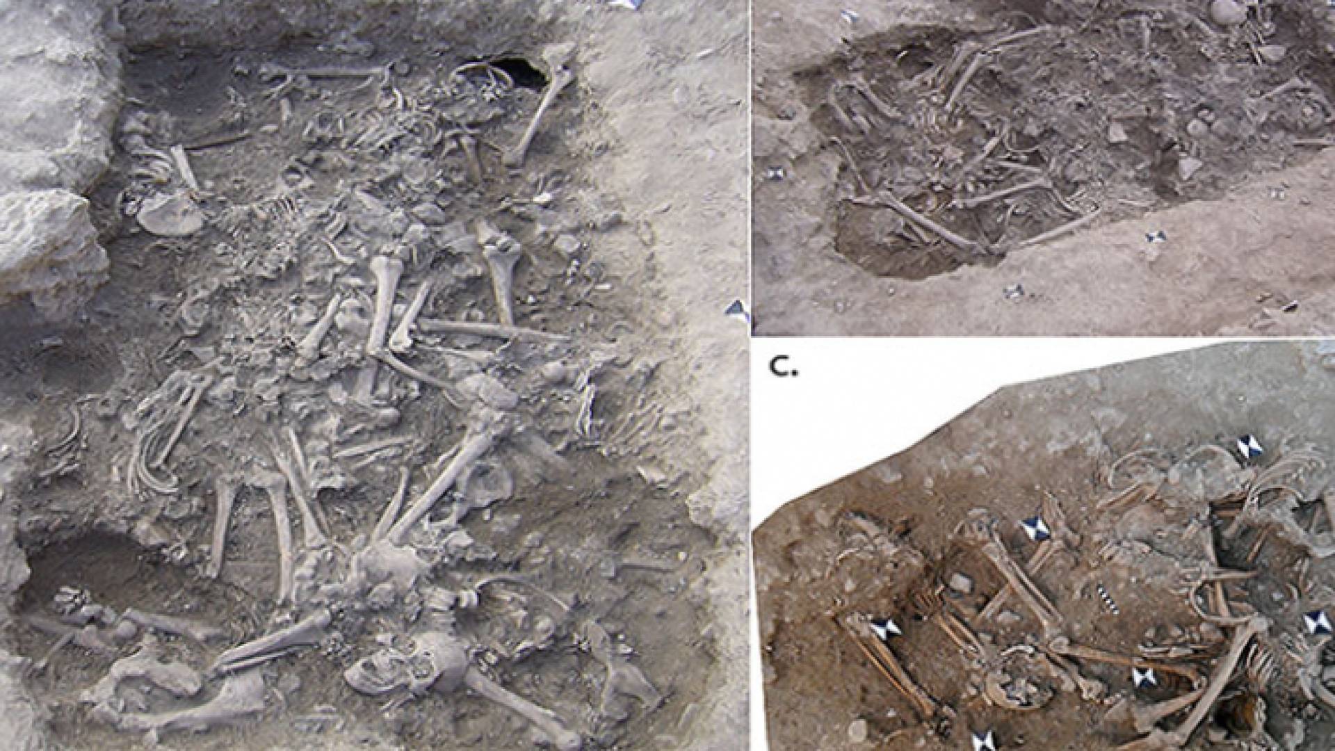 صور لما حللوه ودرسوه طوال 6 سنوات