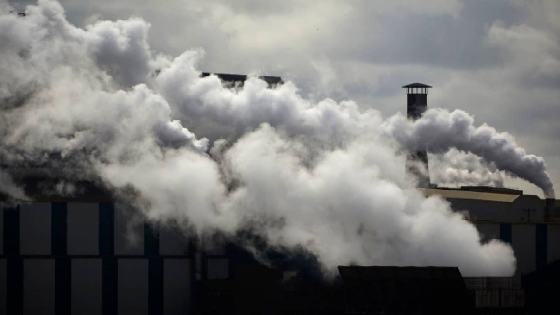 الصحة العالمية: تلوث الهواء يسهم بوفاة 7 ملايين شخص سنويا