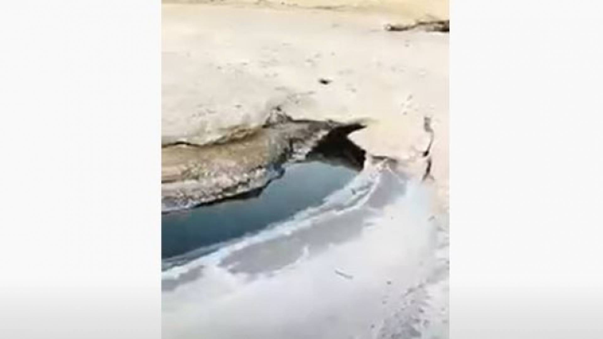 سلطة وادي الأردن تتحقق من فيديو يدعي وجود مياه سوداء البحر الميت