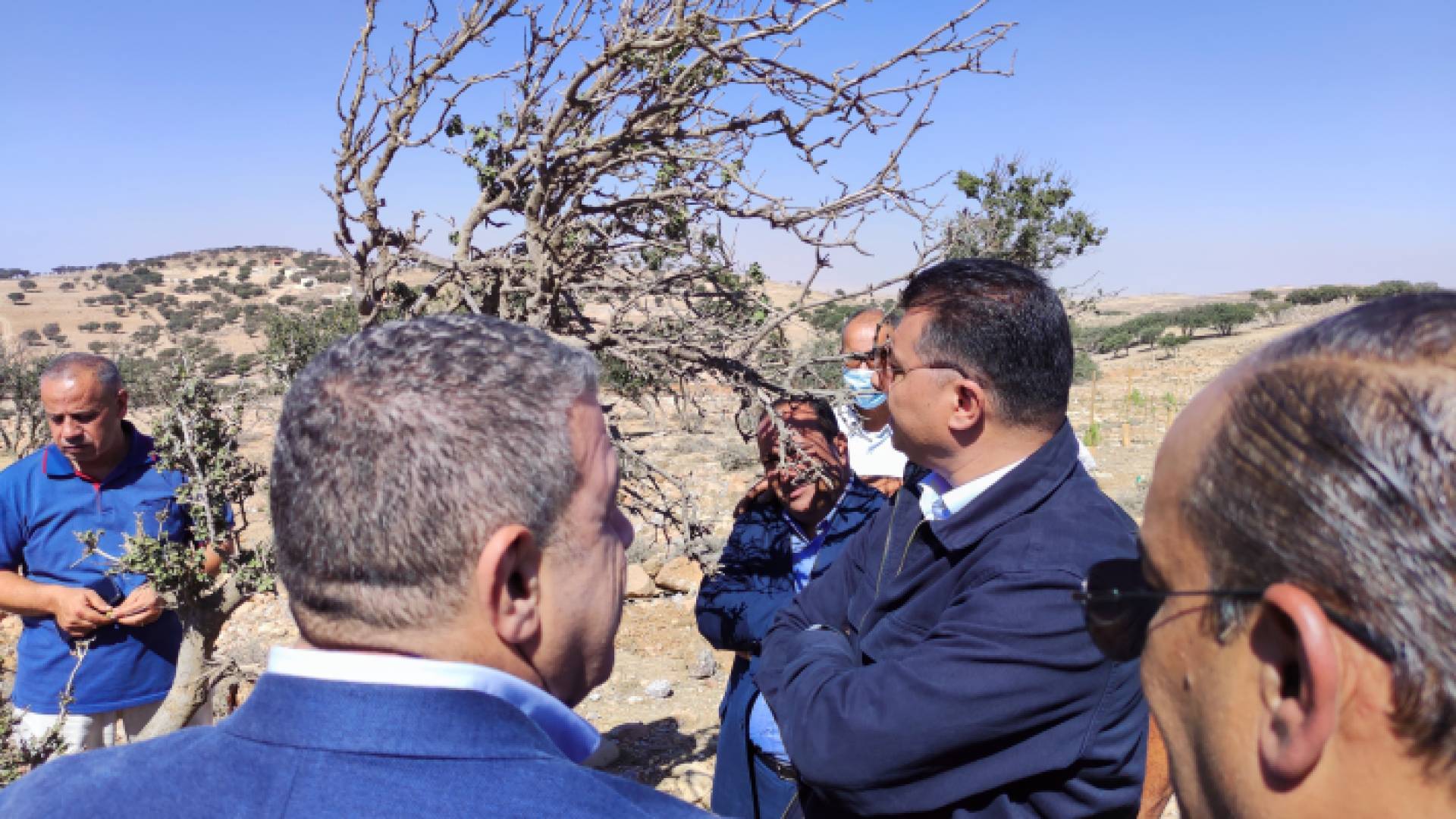 الحنيفات يعبر عن صدمته مما رآه من استنزاف تعرضت له غابات الهيشة بالشوبك