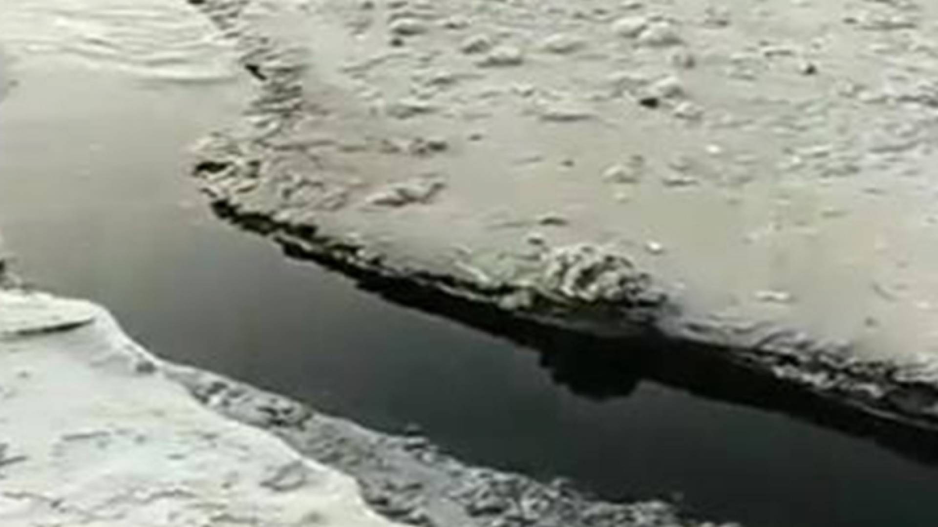 المياه السوداء التي تسربت بجانب البحر الميت