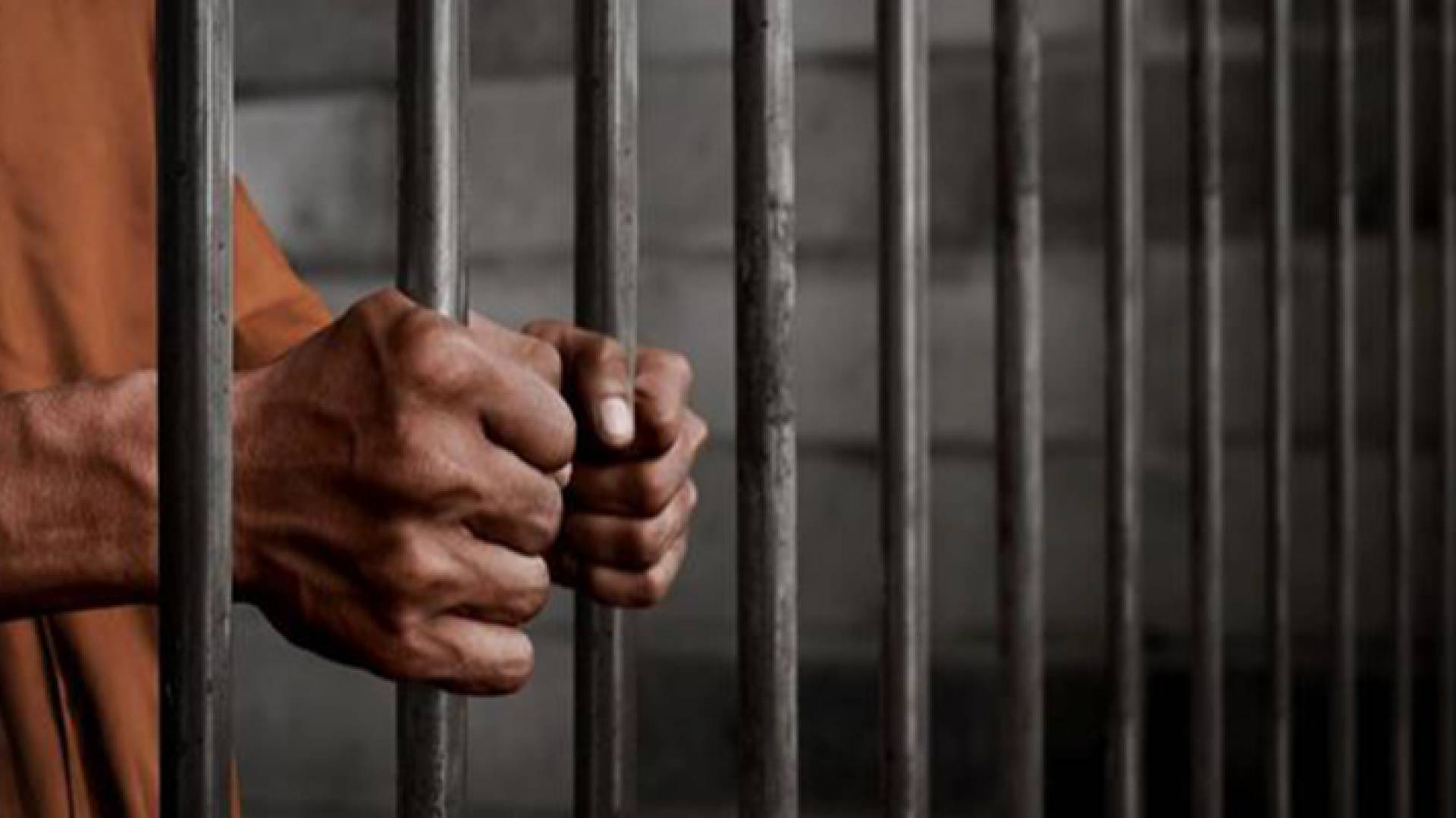 الحبس عامين لمتهم بالتزوير - تعبيرية