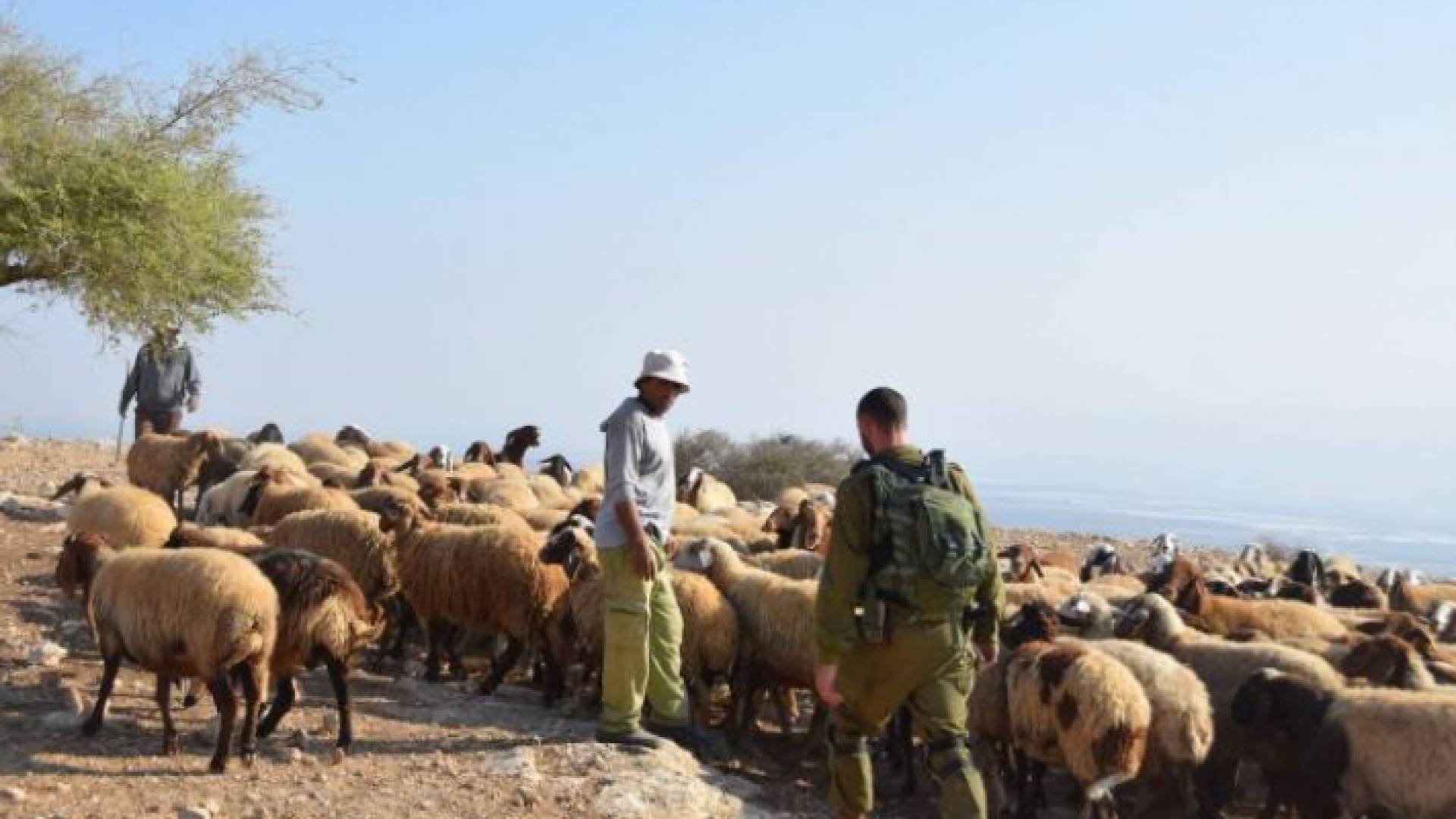 الصورة ارشيفية