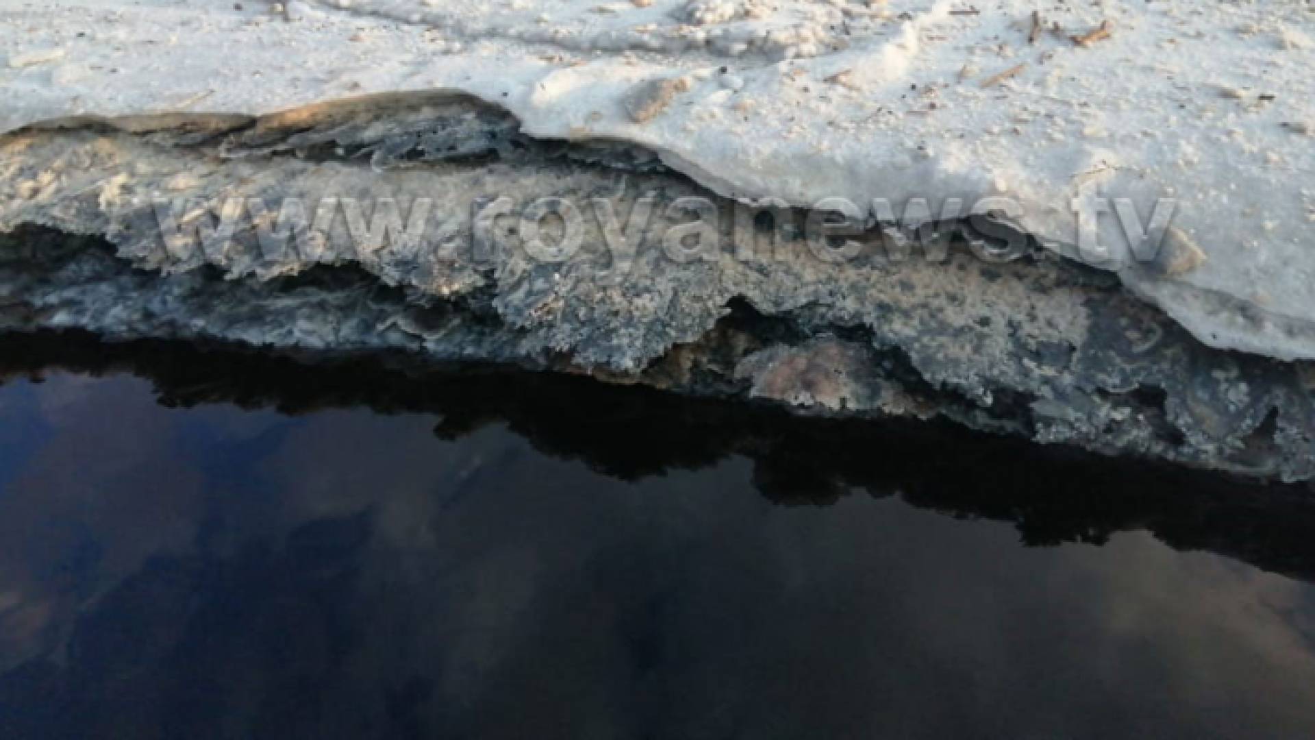 المياه السوداء التي تسربت بجانب البحر الميت