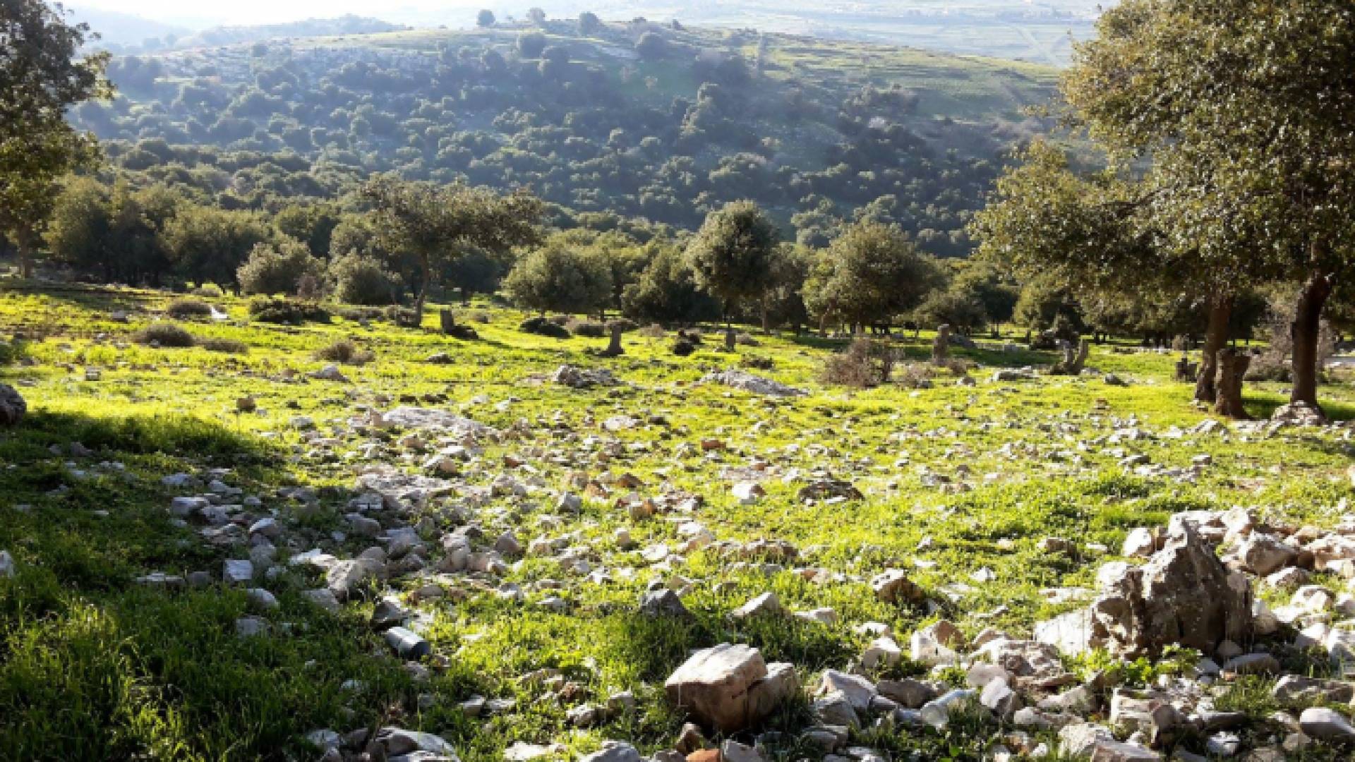 عودة درجات الحرارة للانخفاض السبت