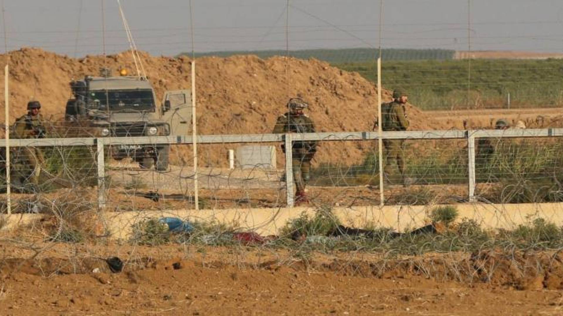 الصورة ارشيفية