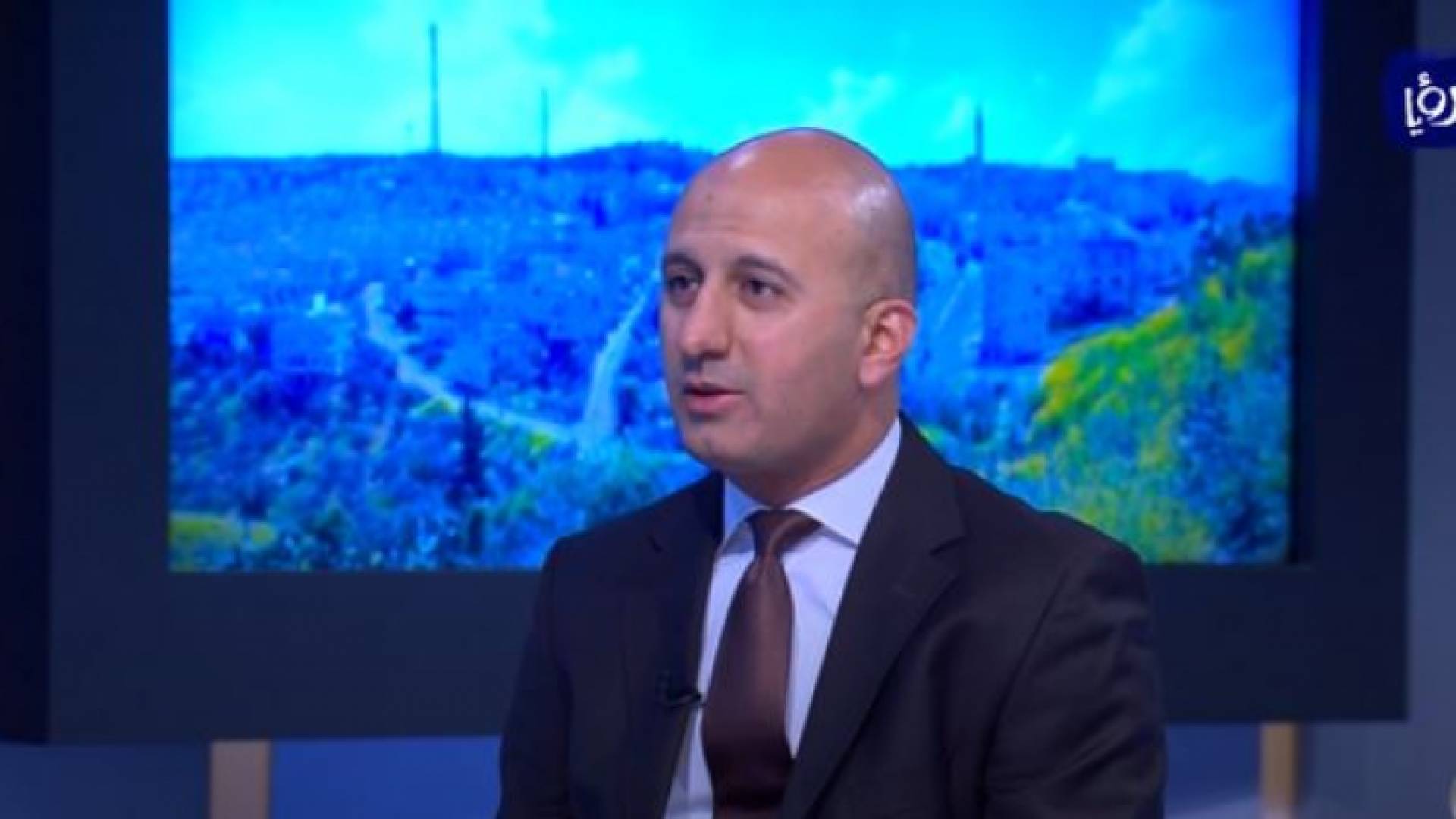 الدكتور صفوت حدادين