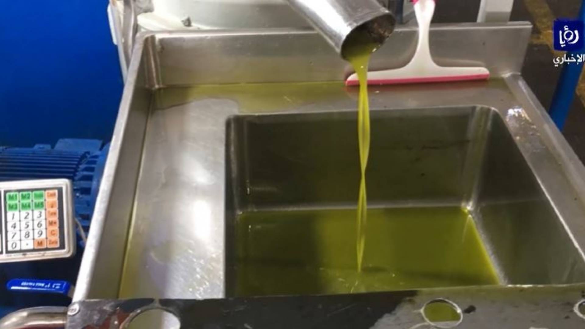 انخفاض كميات الزيتون هذا العام تنعكس على المعاصر في غزة