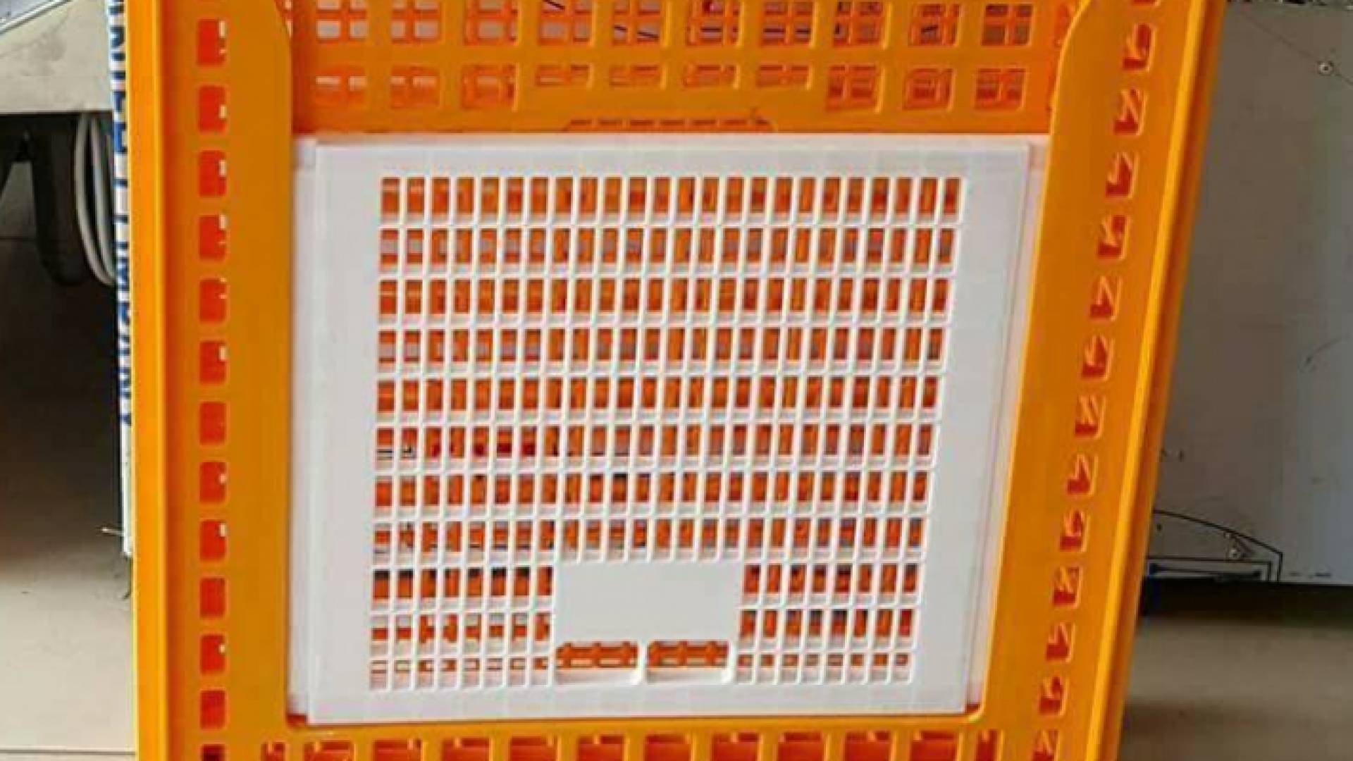 قفص دواجن - تعبيرية