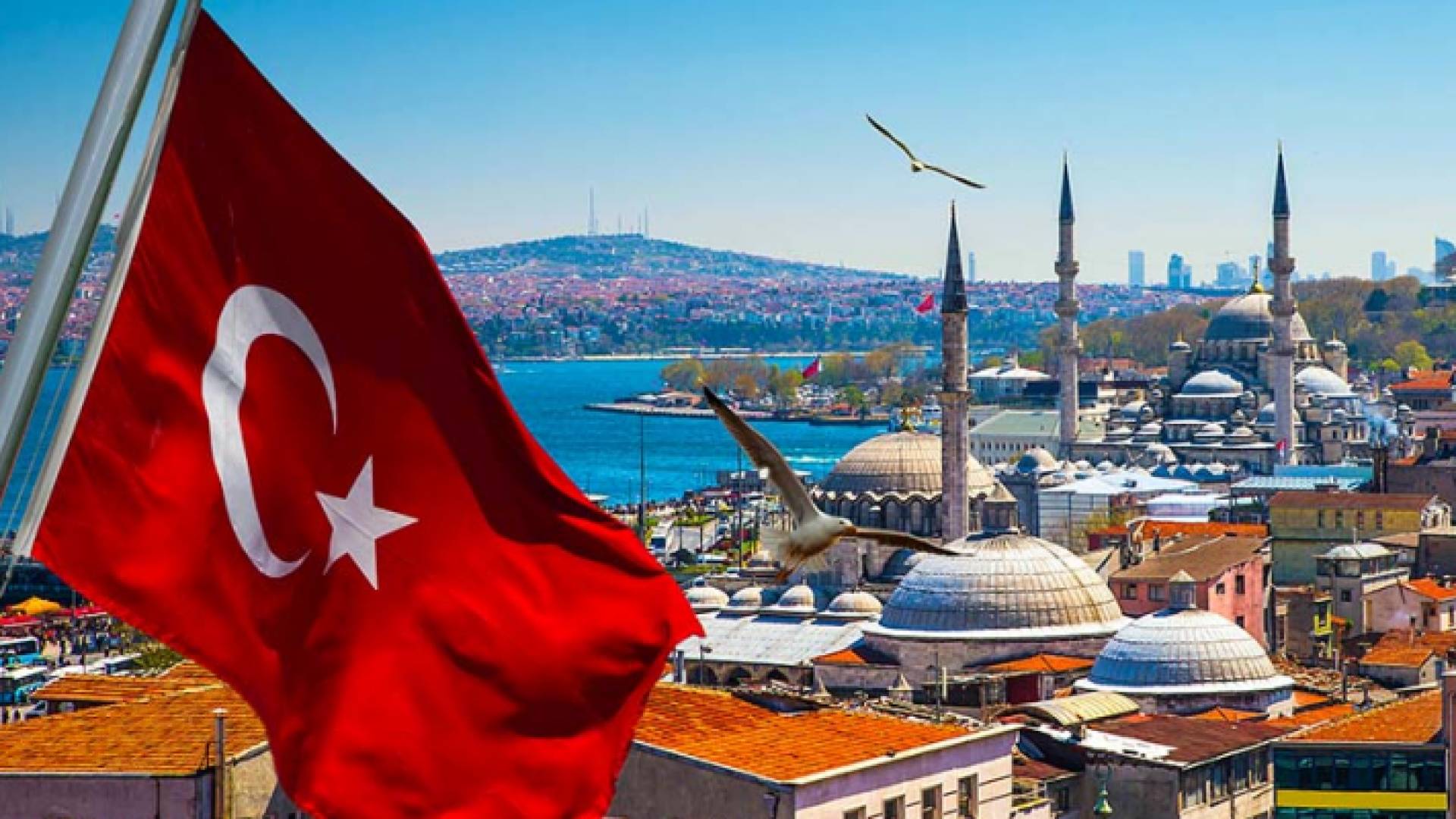 تركيا - ارشيفة