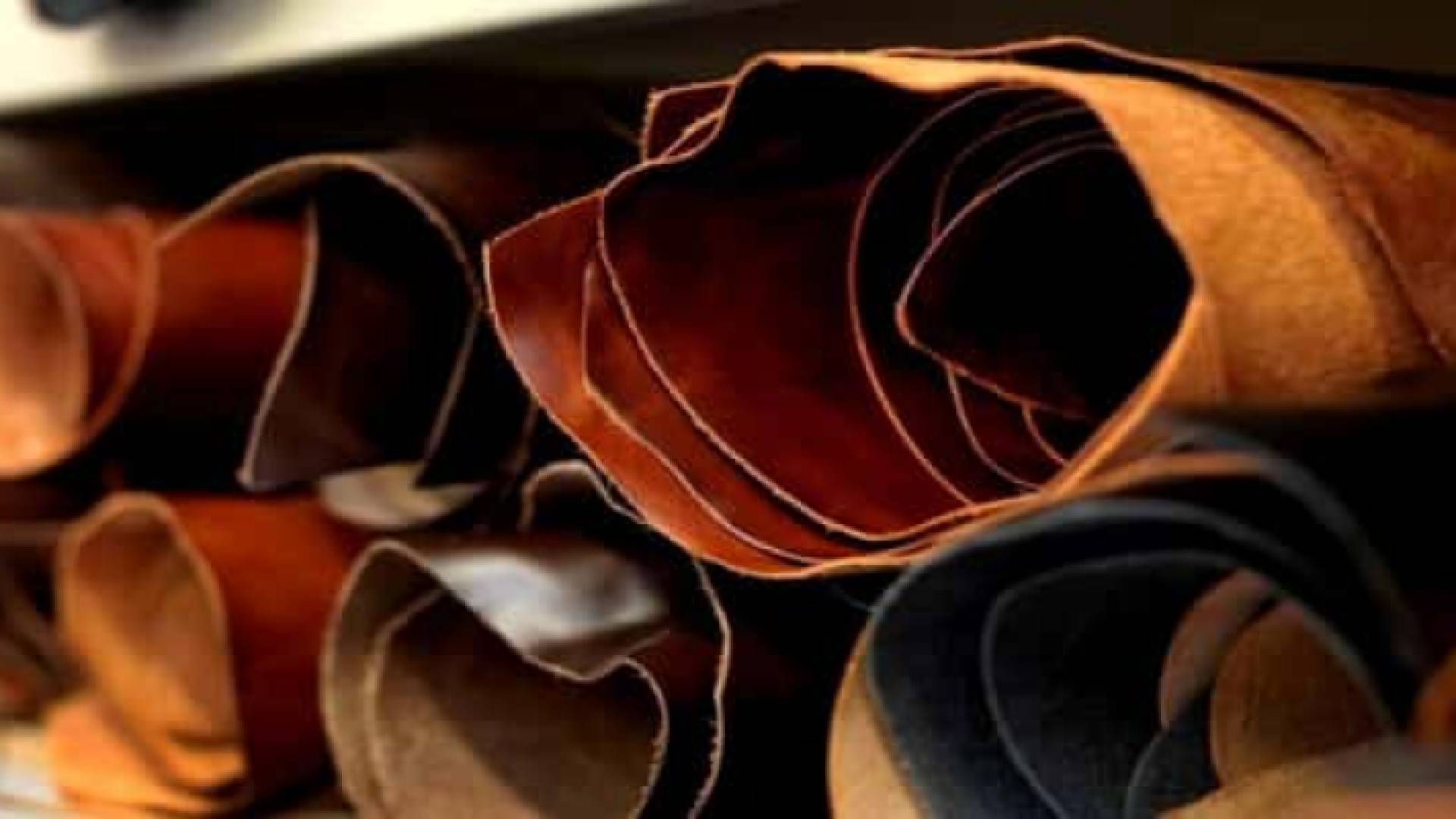 دباغة الجلود في فلسطين إرث وطني مستمر رغم المخاطر