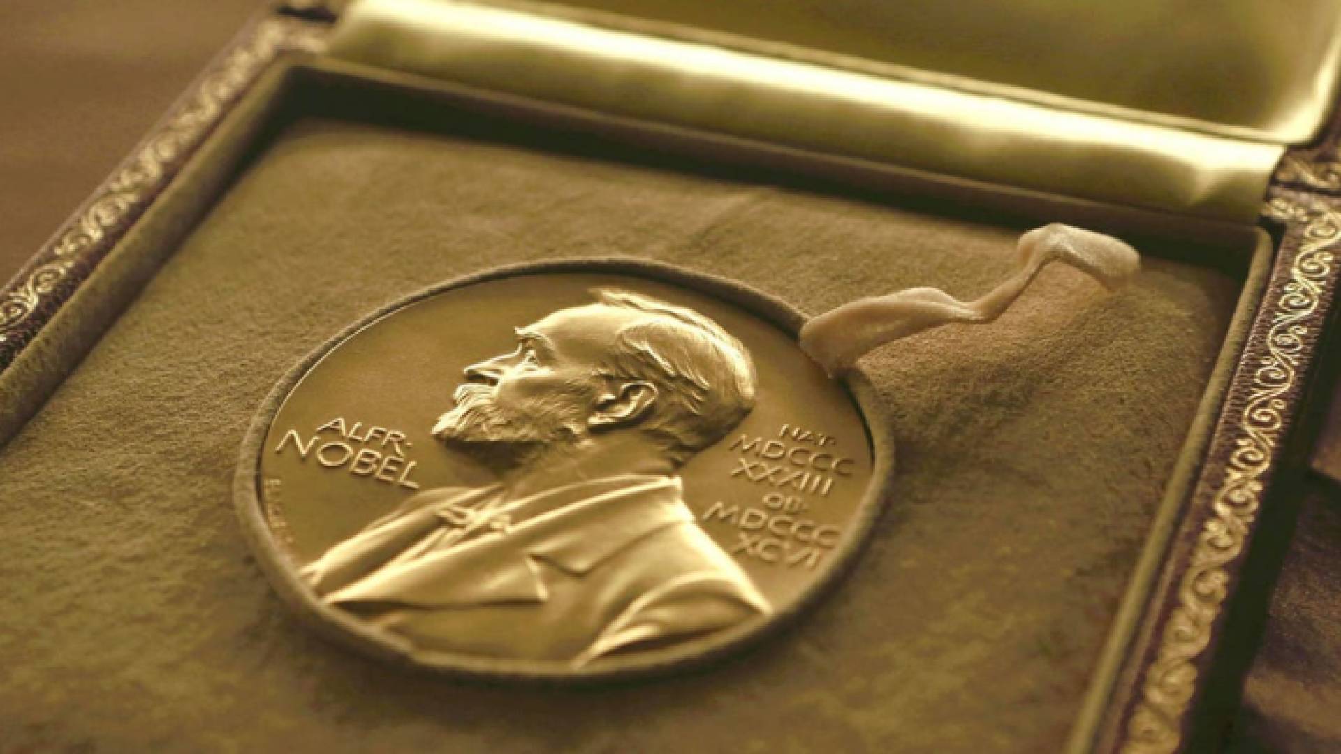 جائزة نوبل - أرشيفية