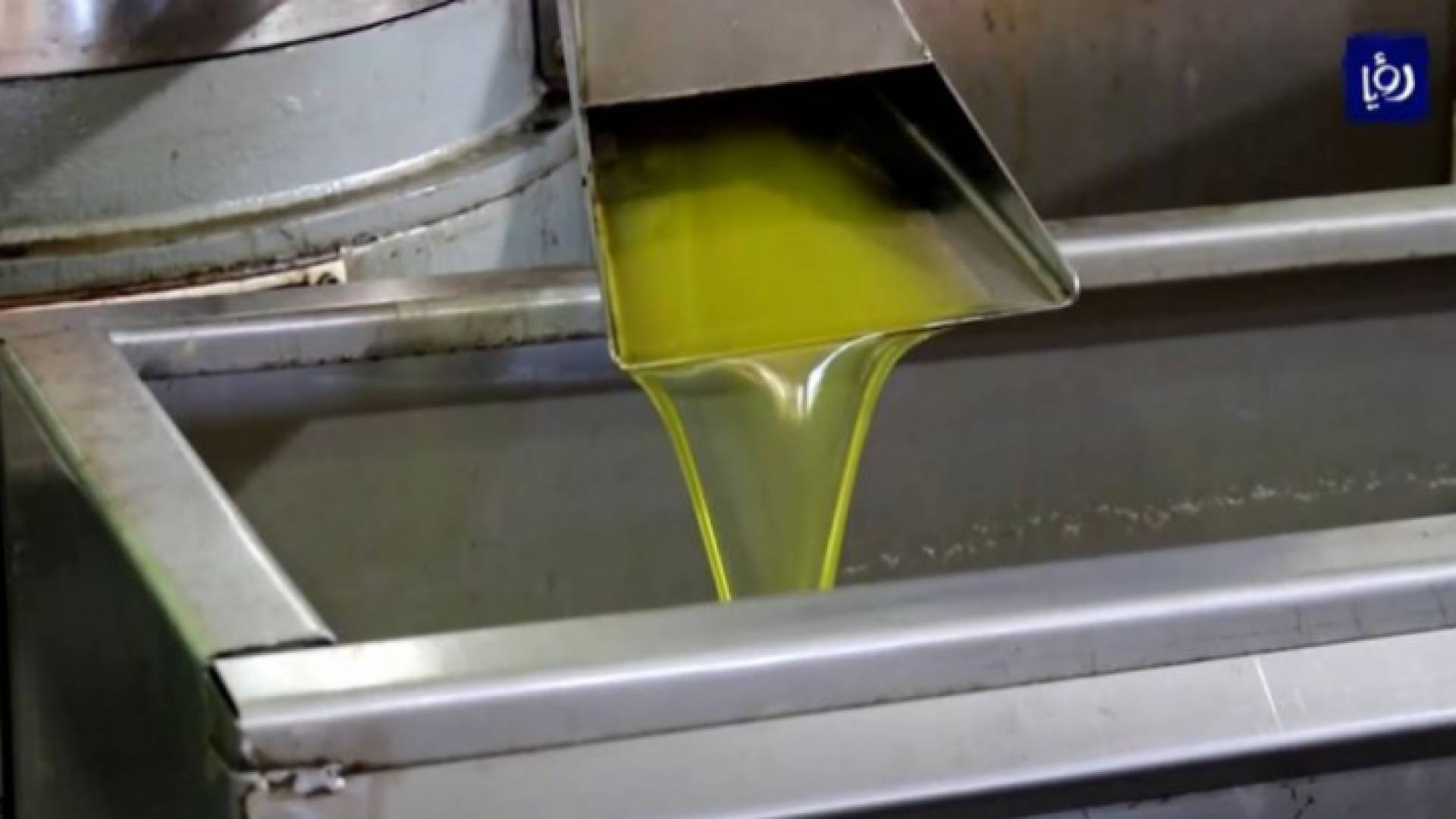 معاصر زيت الزيتون - الصورة ارشيفية