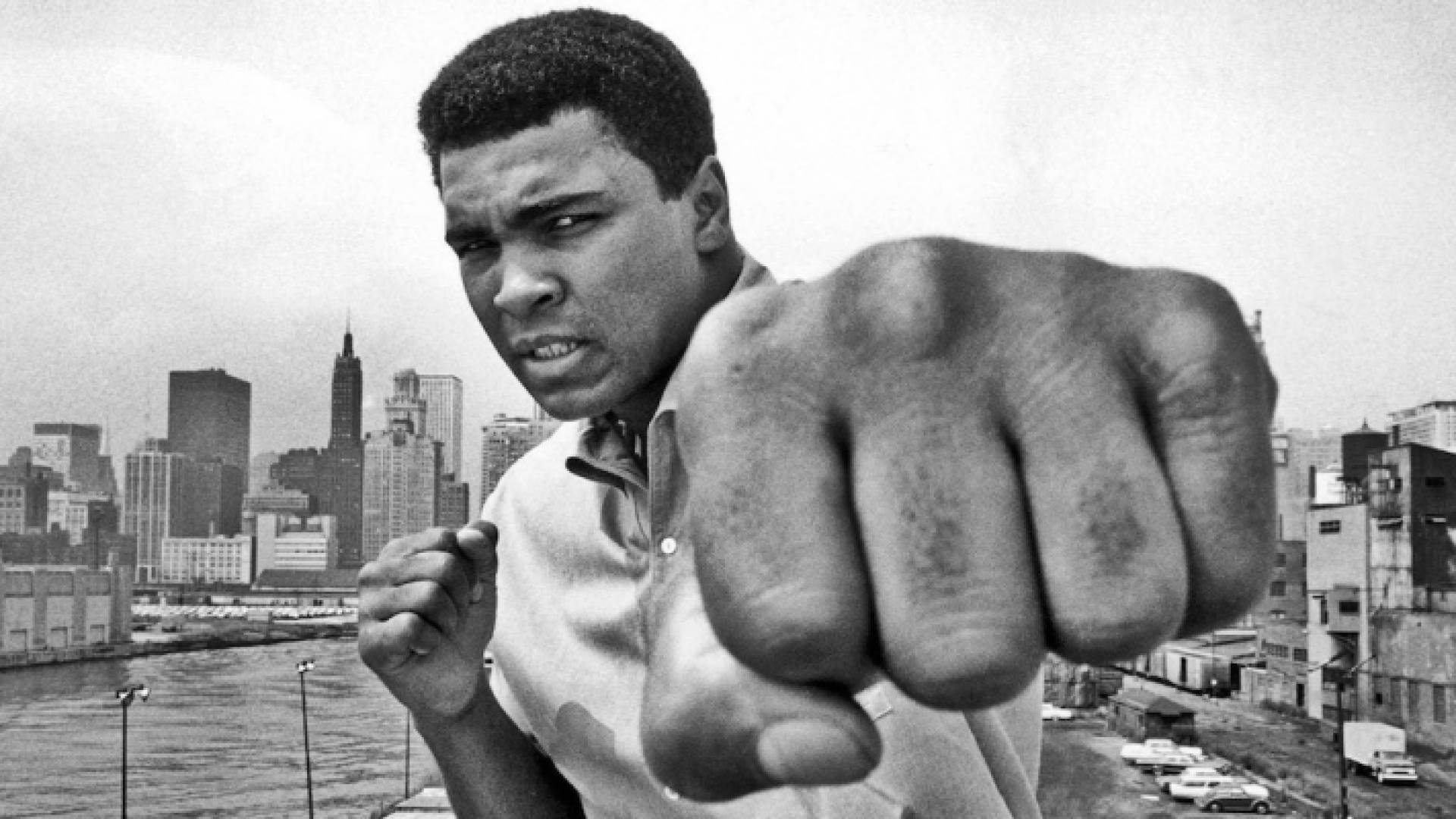 الملاكم الراحل محمد علي كلاي