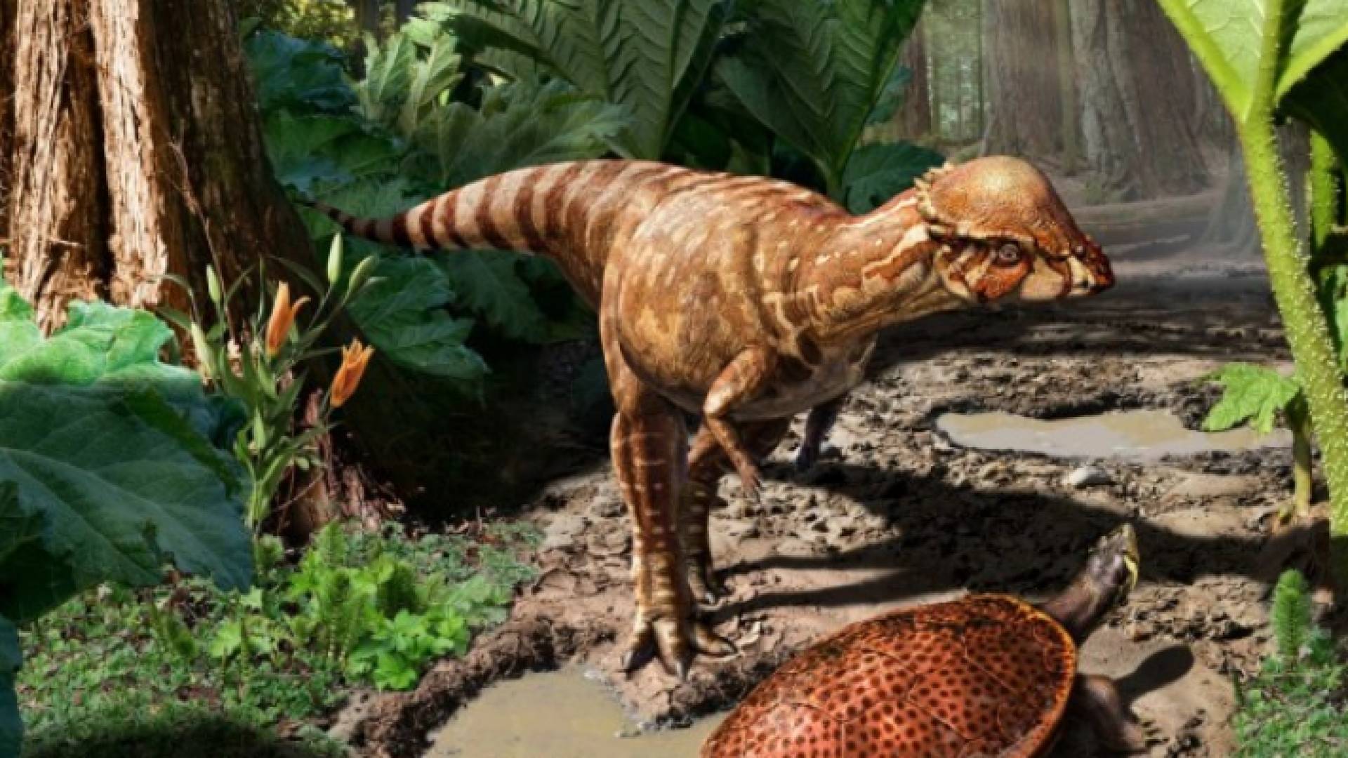 الصورة تعبيرية