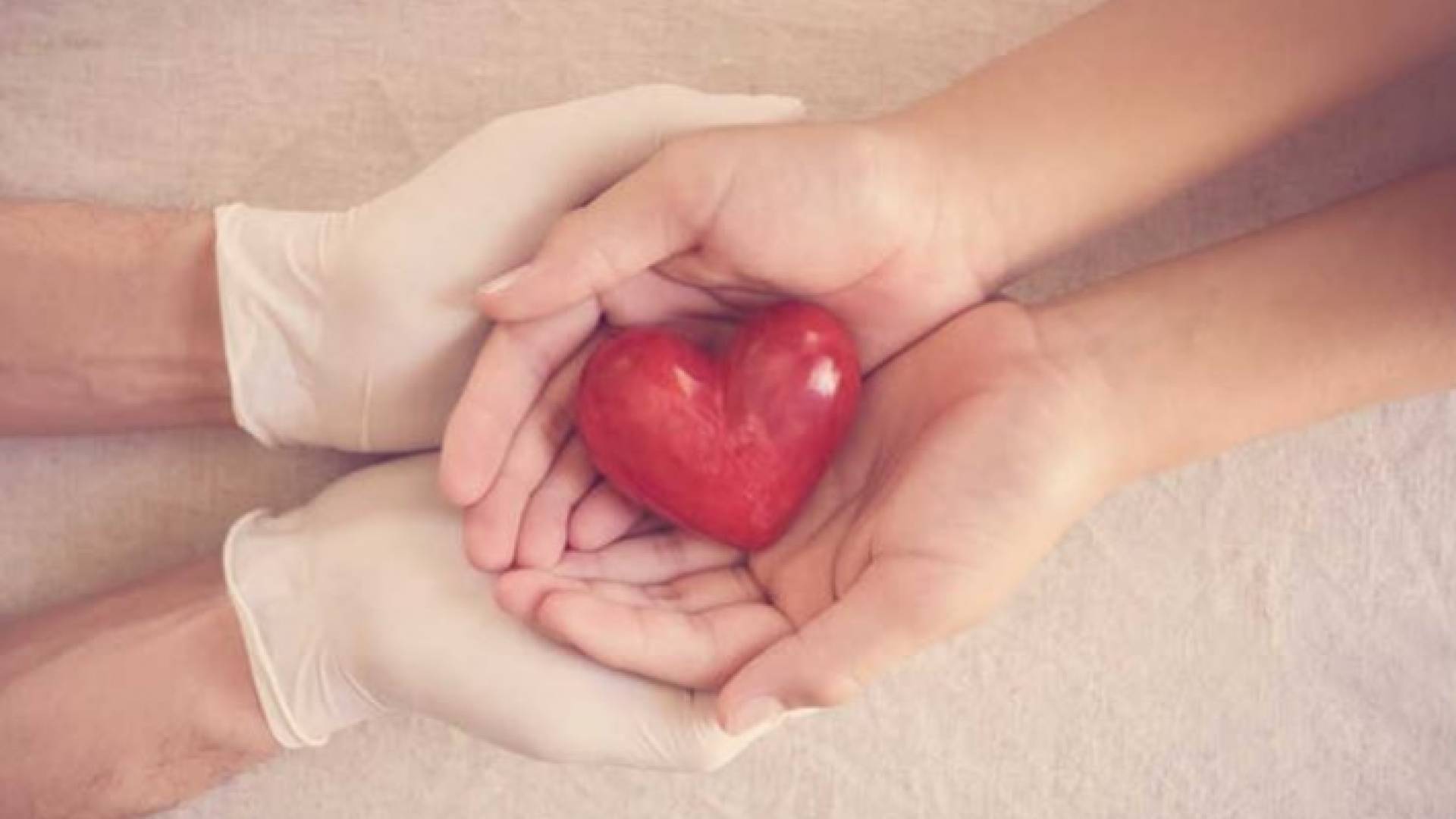 ذوو سيدة أمريكية يتبرعون بأعضائها لإنقاذ حياة مرضى أردنيين