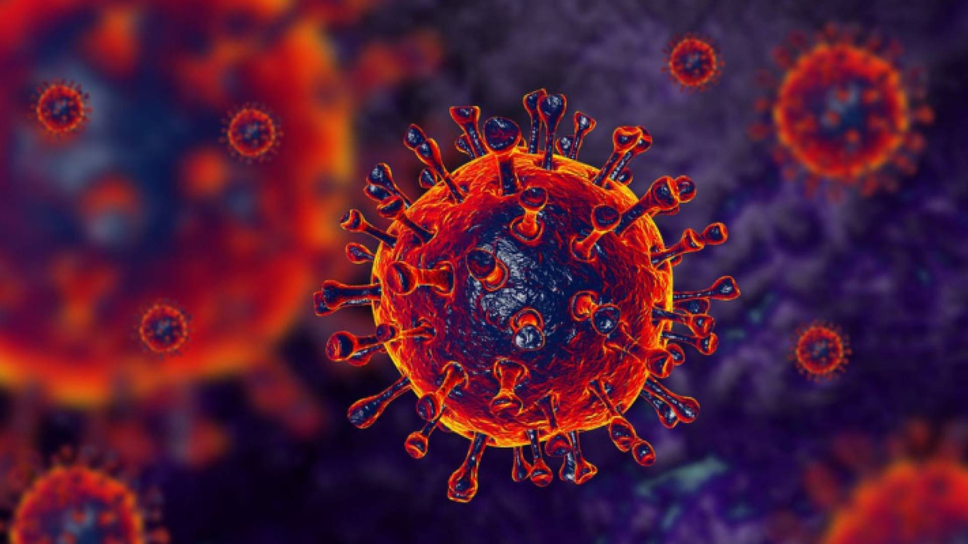 بشرى من خبير أمريكي: دلتا قد يكون آخر تحور لكورونا