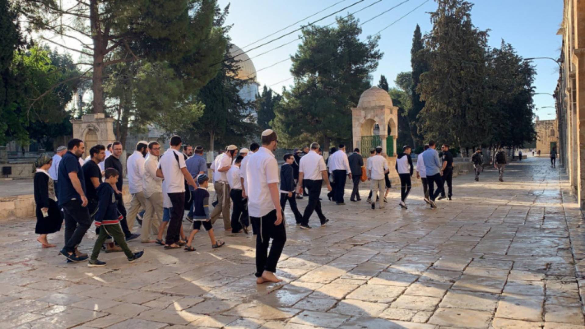 قطعان من المستوطنين في باحات المسجد الأقصى المبارك