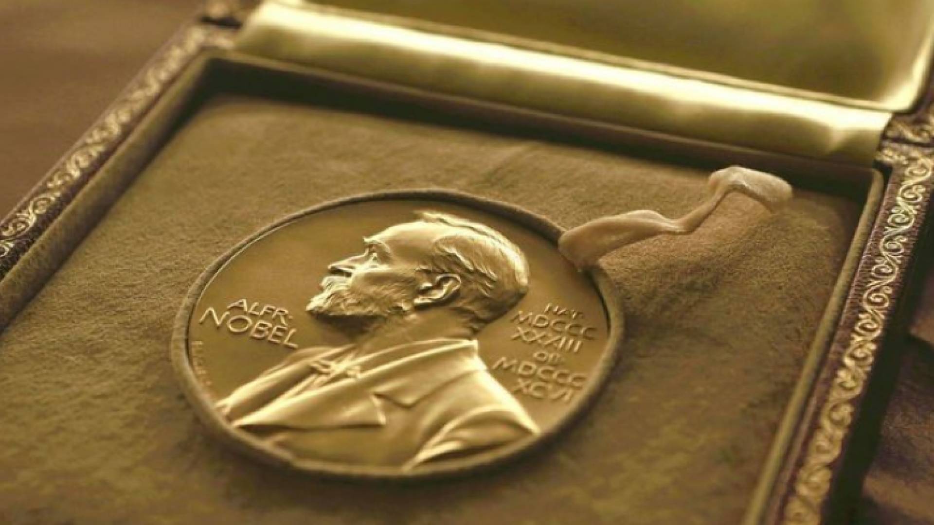 جائزة نوبل للسلام تمنح الجمعة