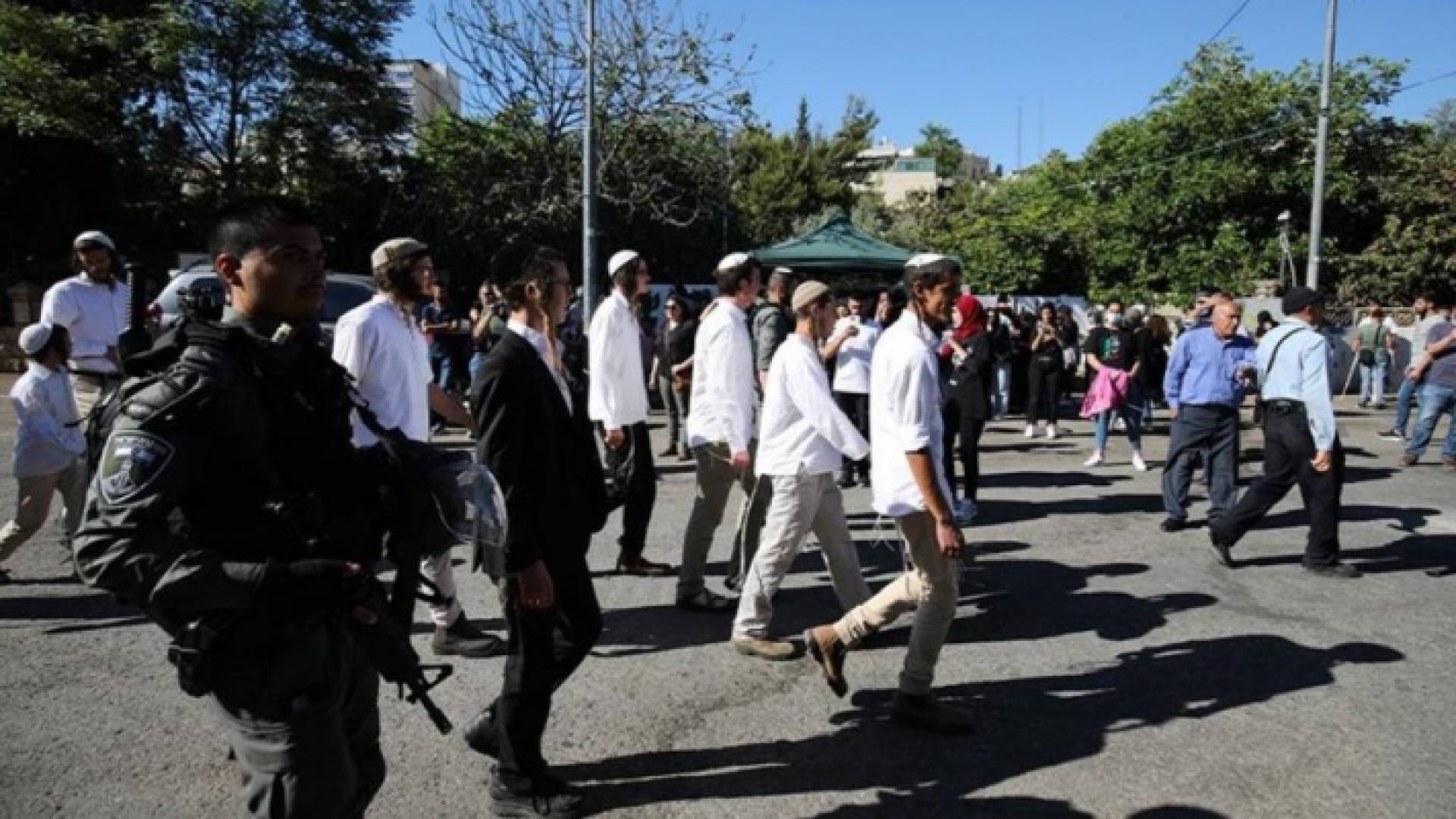 قطعان من المستوطنين - ارشيفية