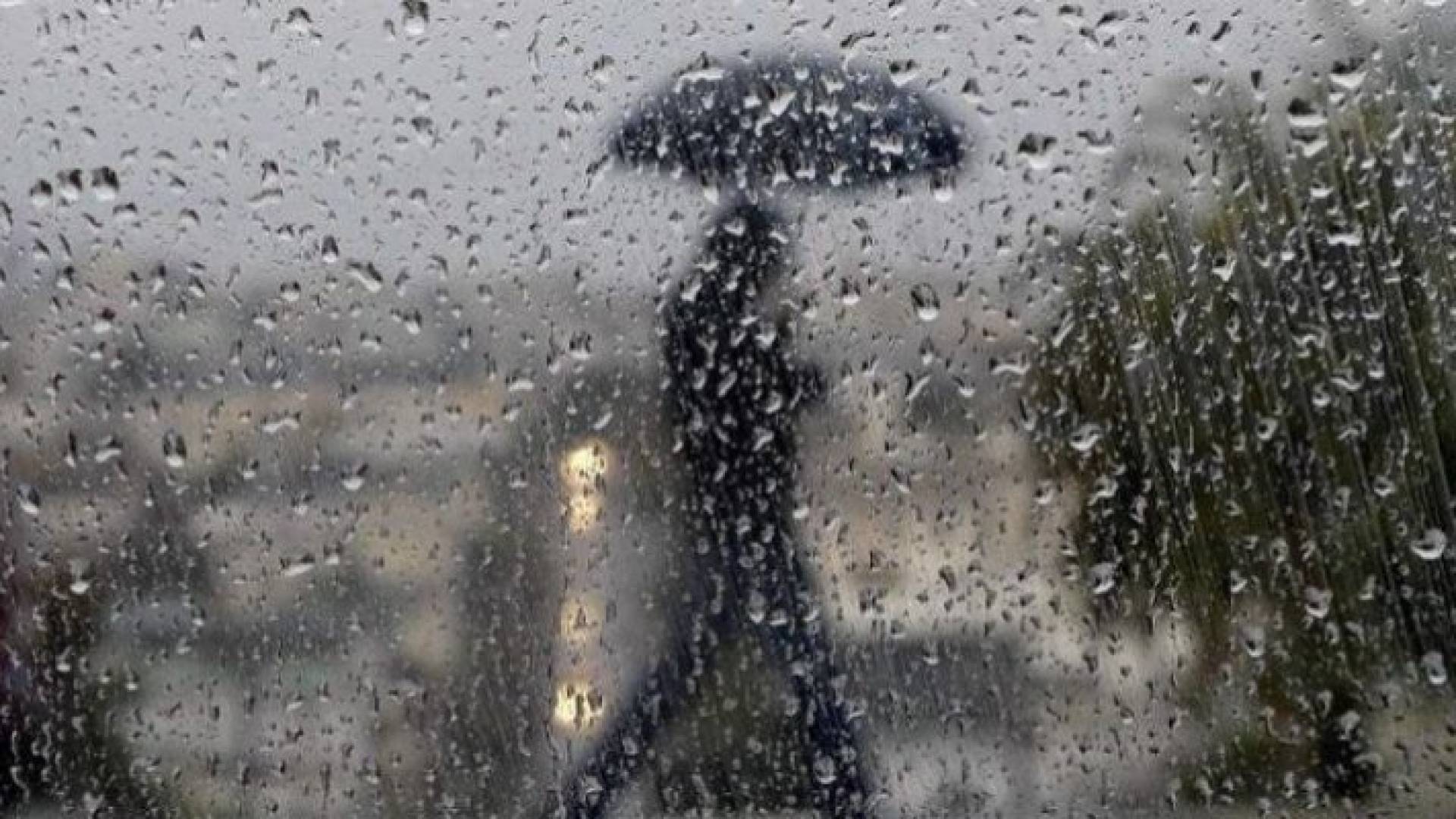 تساقط الأمطار - تعبيرية